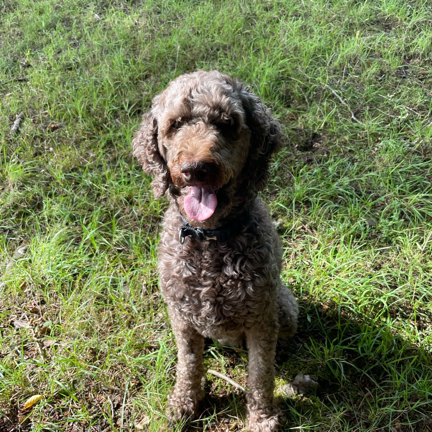 Molly