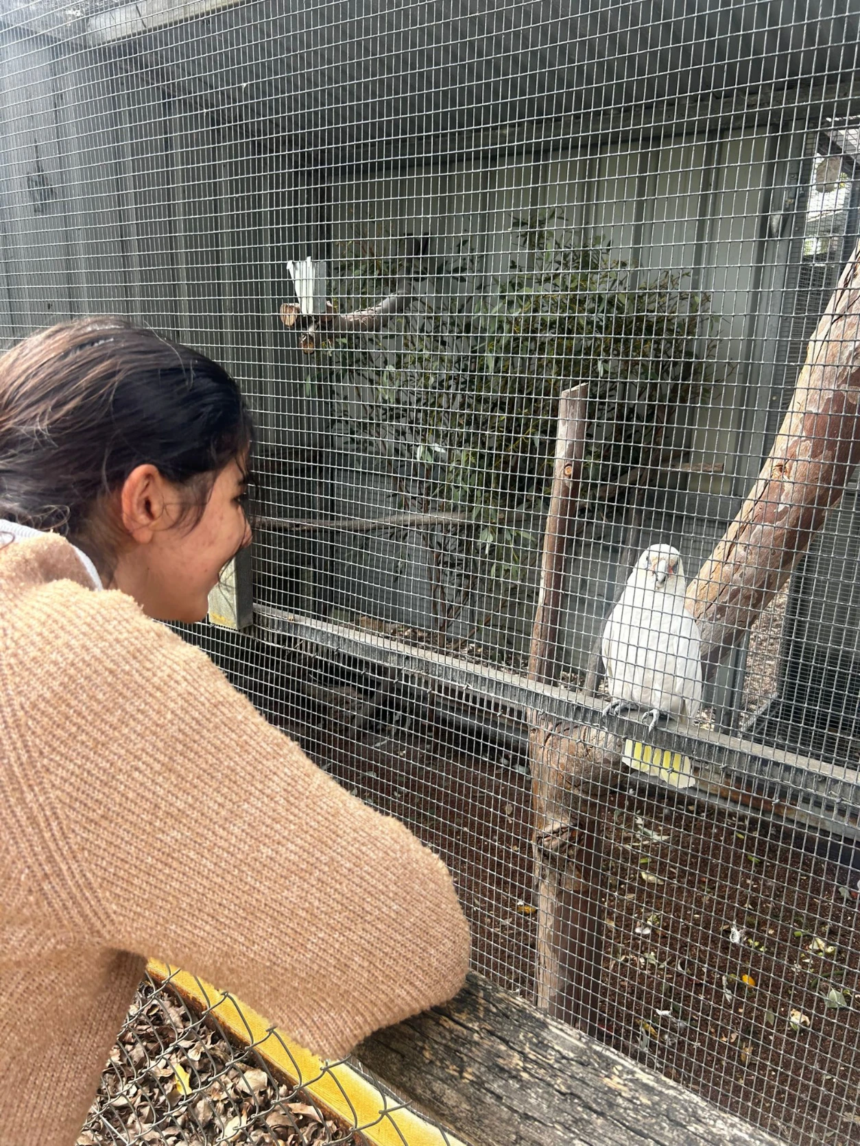 image-7