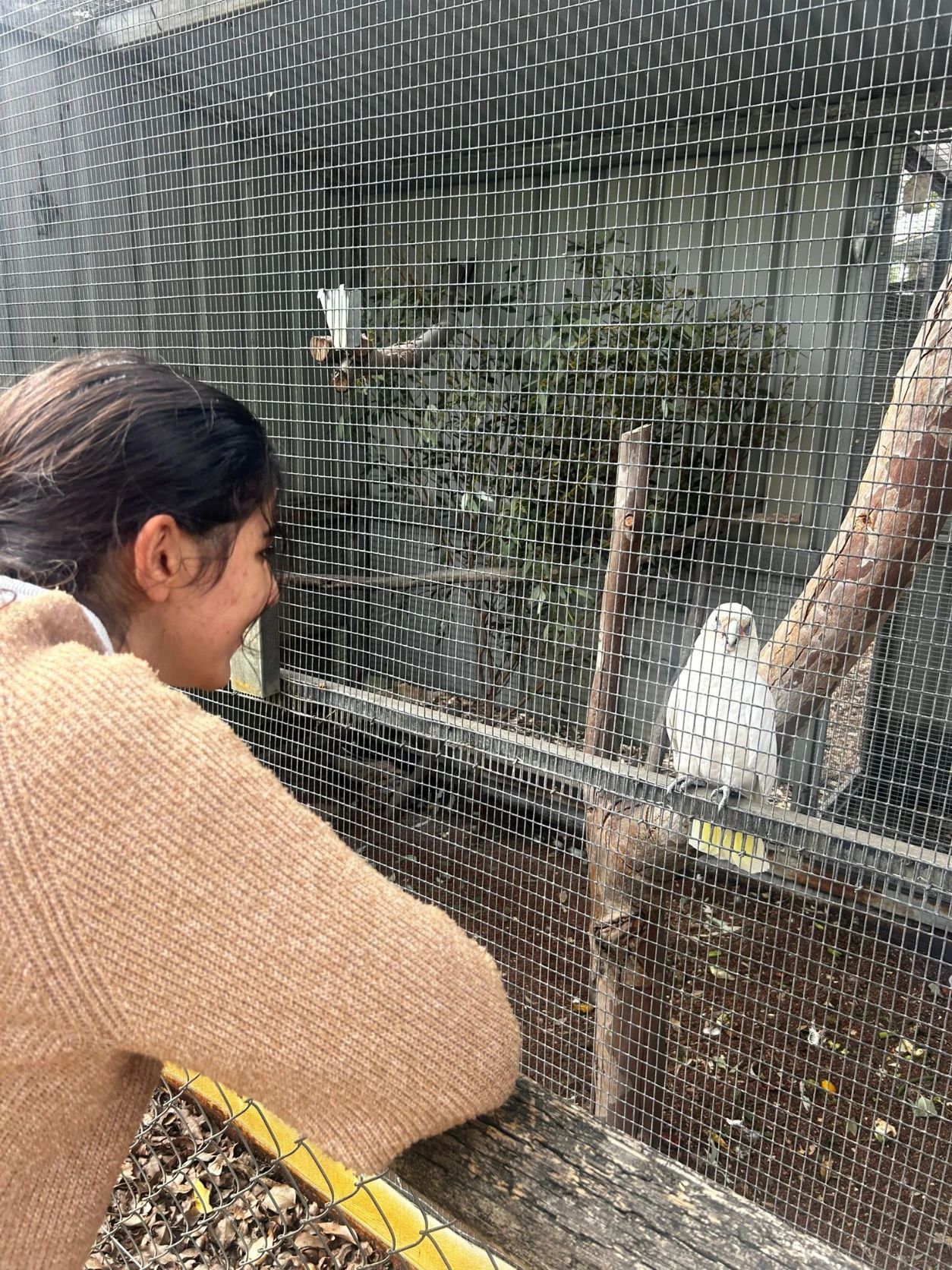 image-7