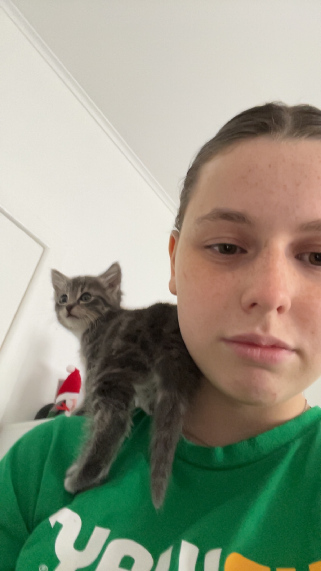 image-6
