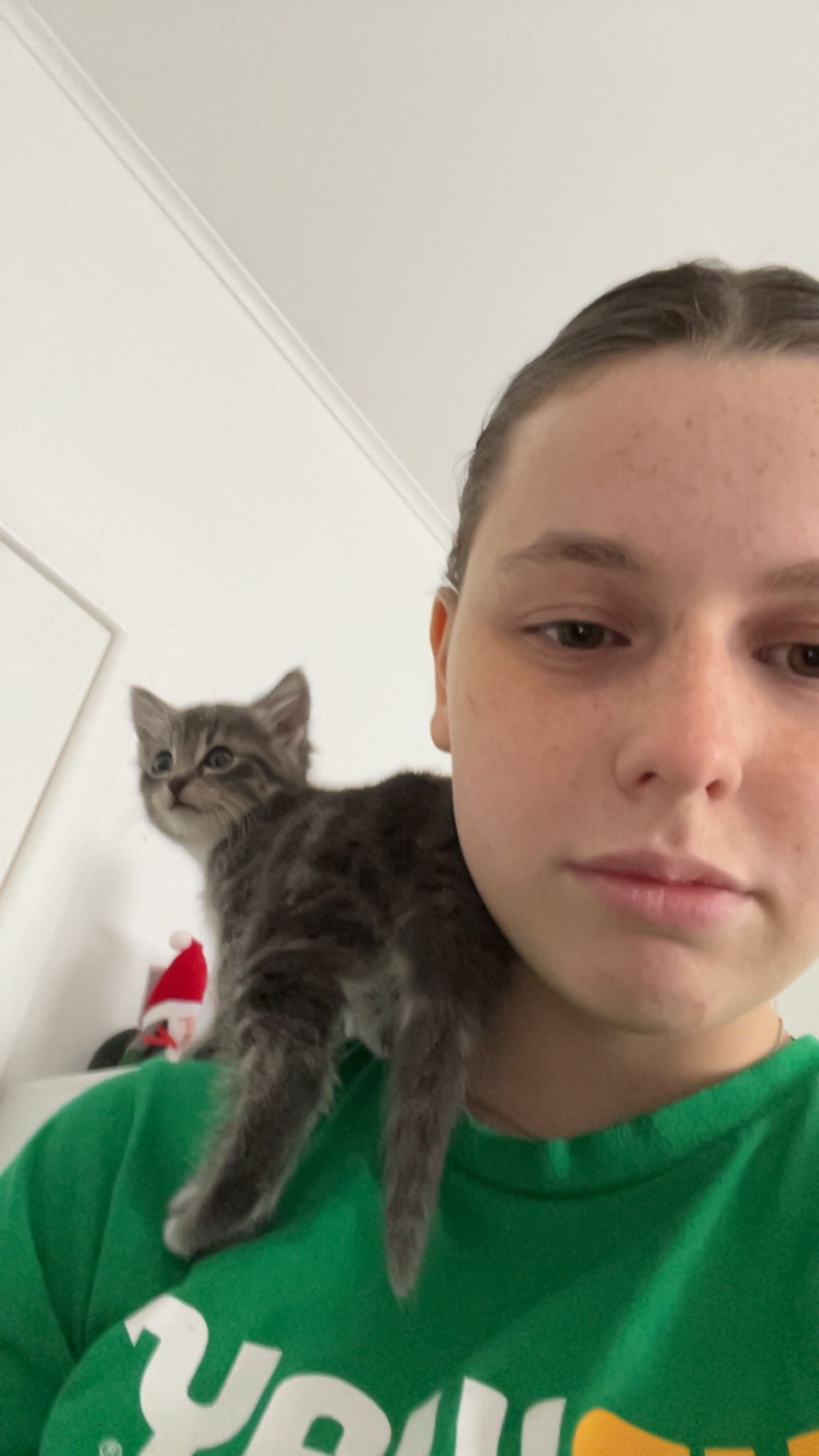 image-6