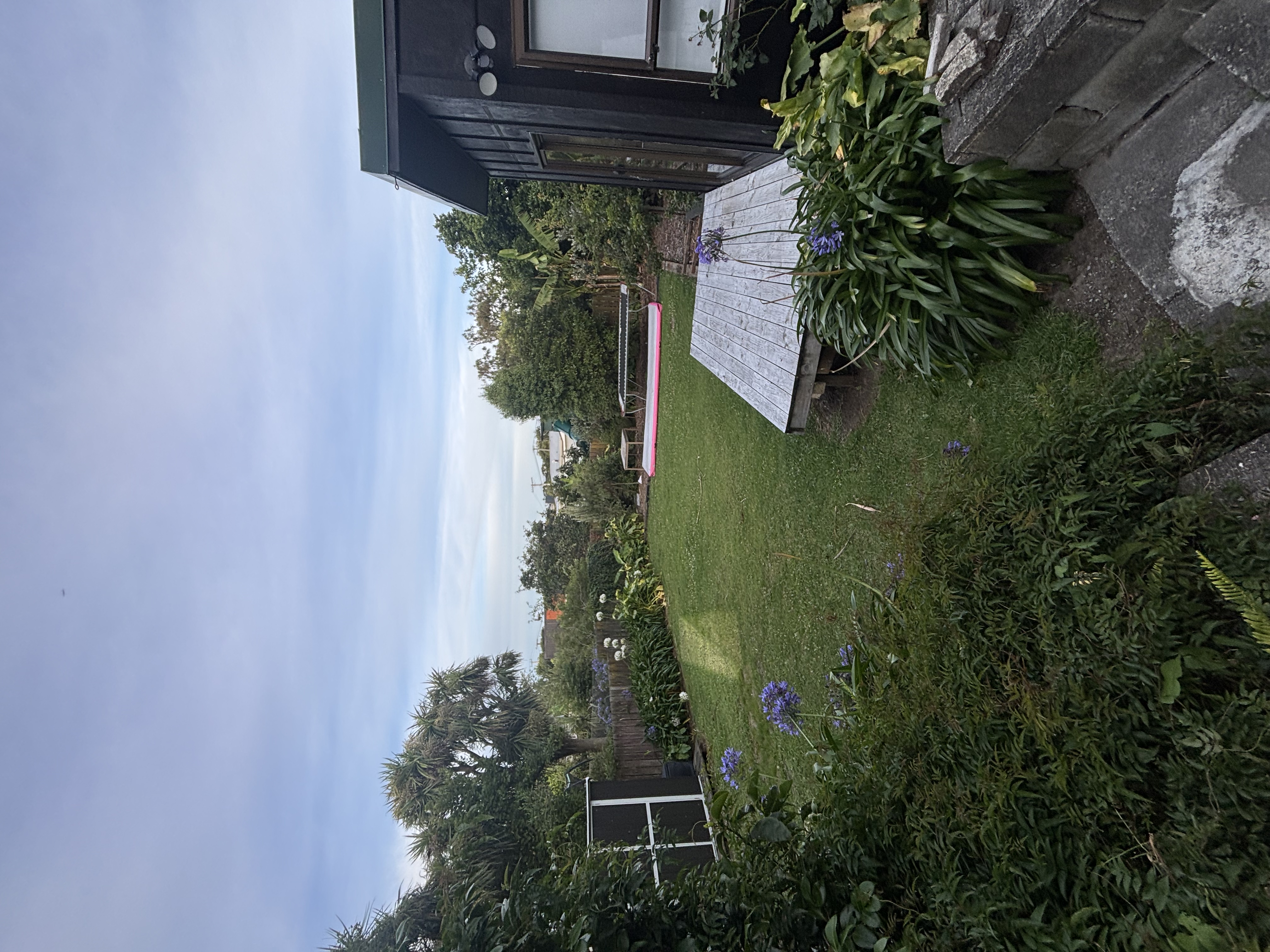 image-21