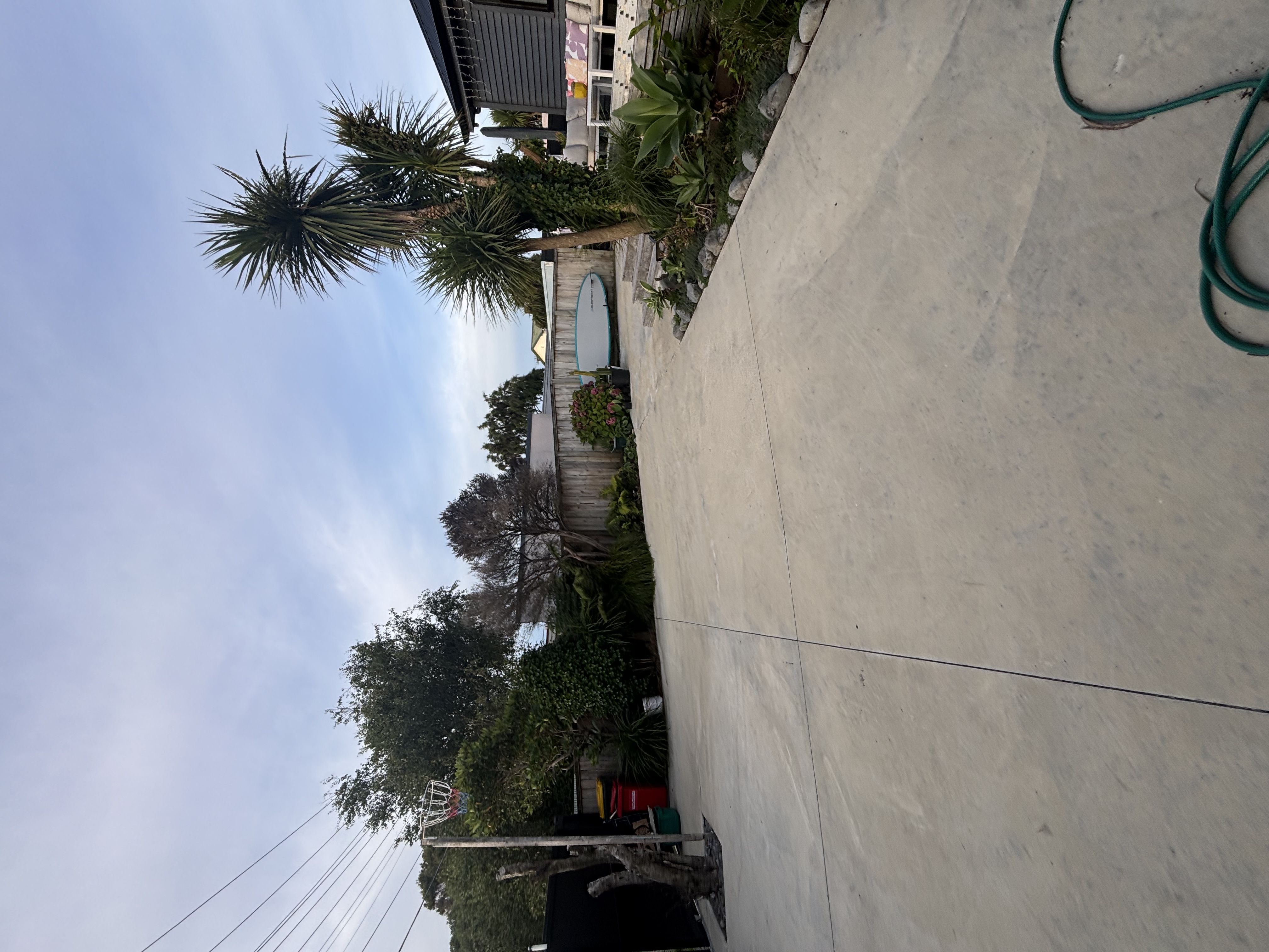 image-19