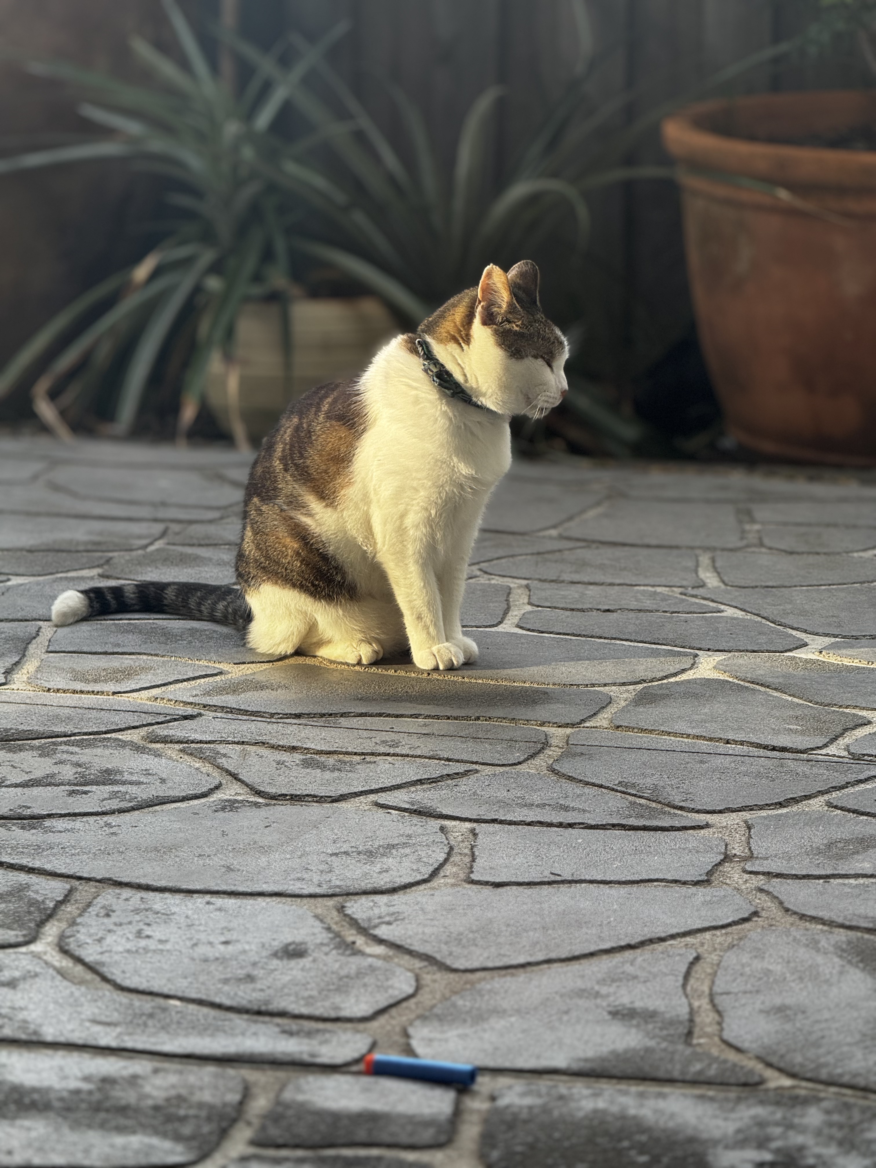 image-14