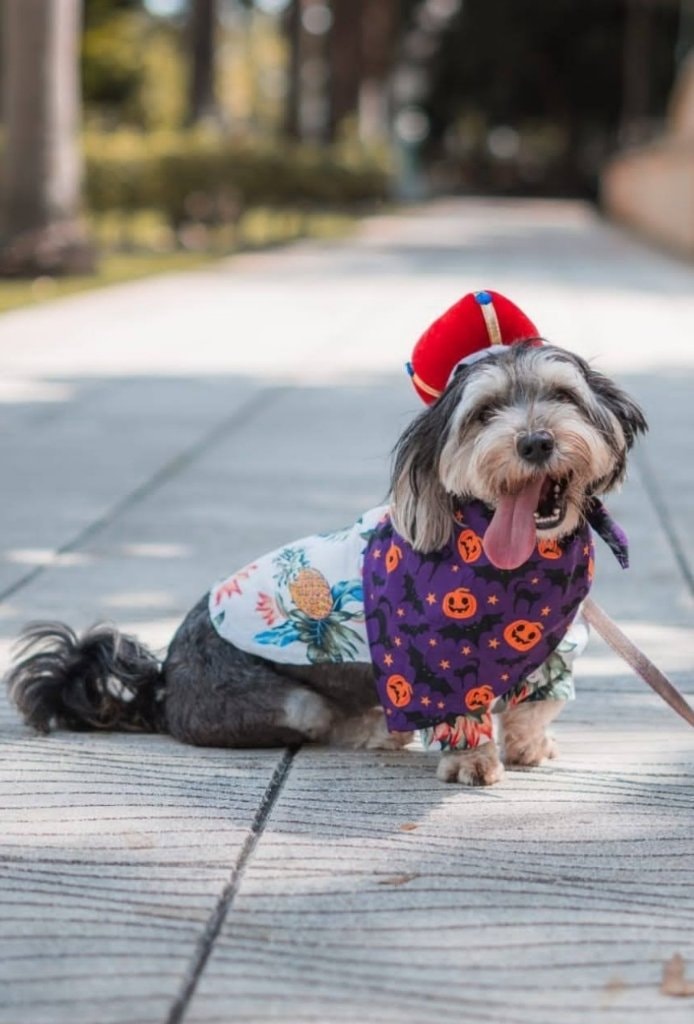 image-15