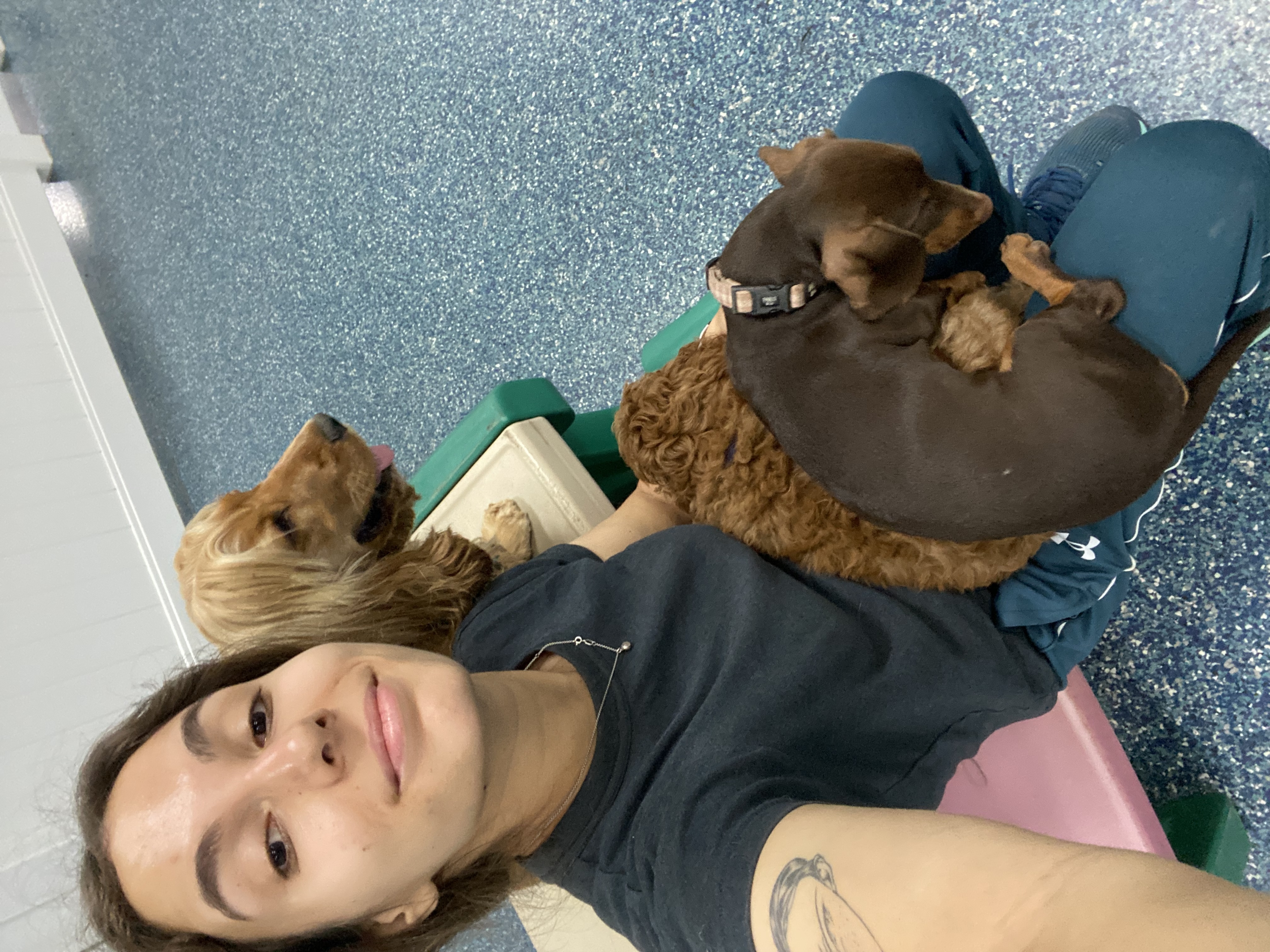 image-8