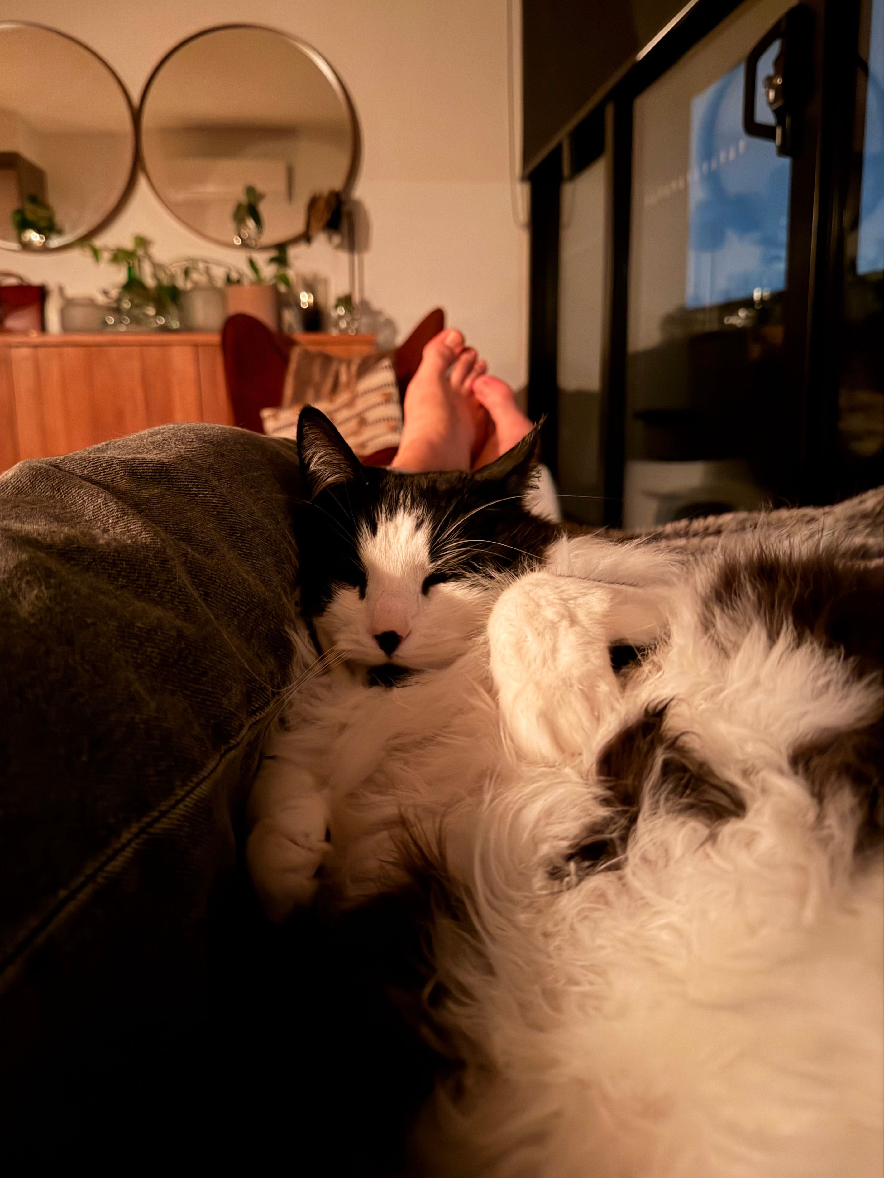 image-9