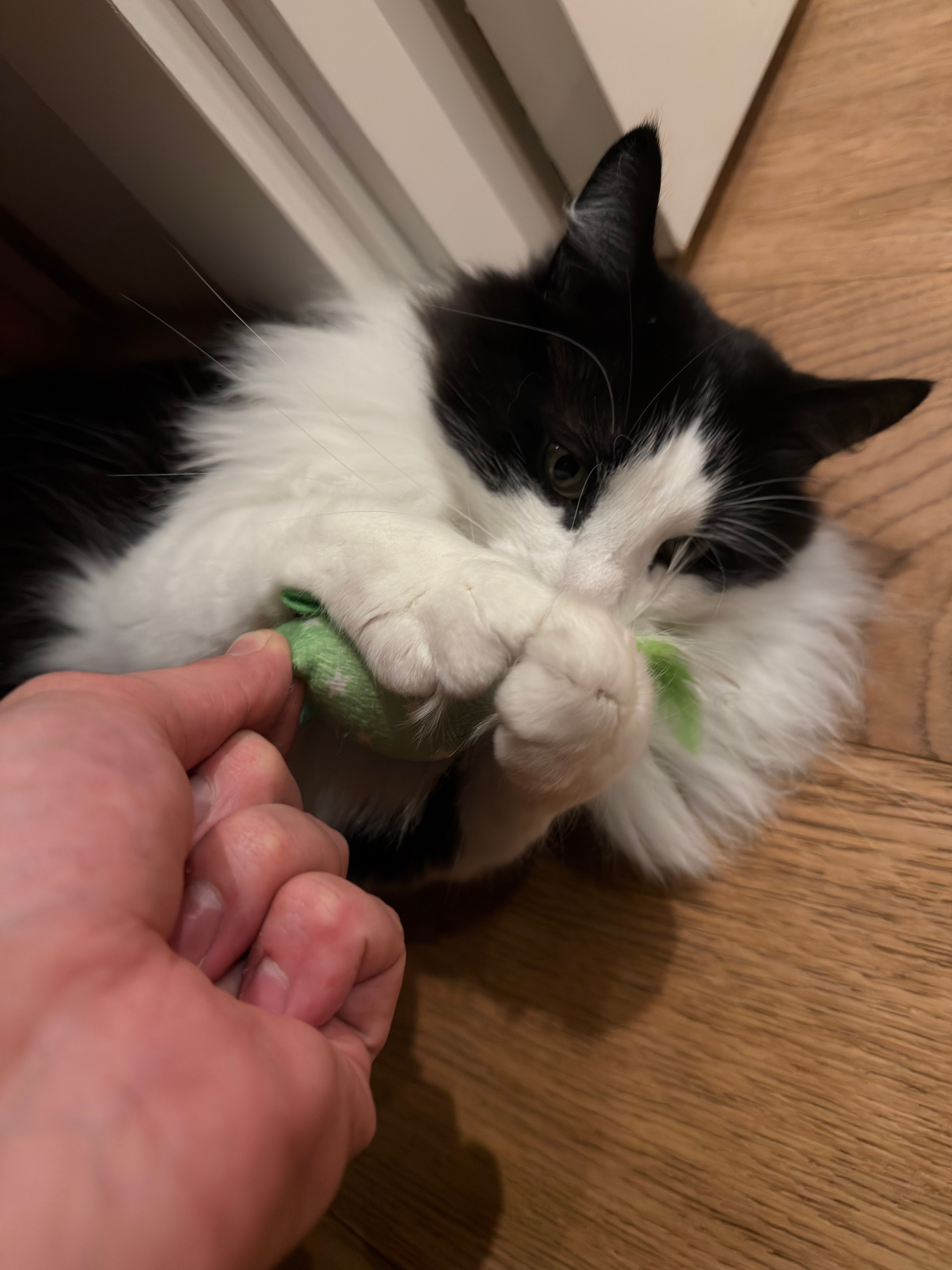 image-8