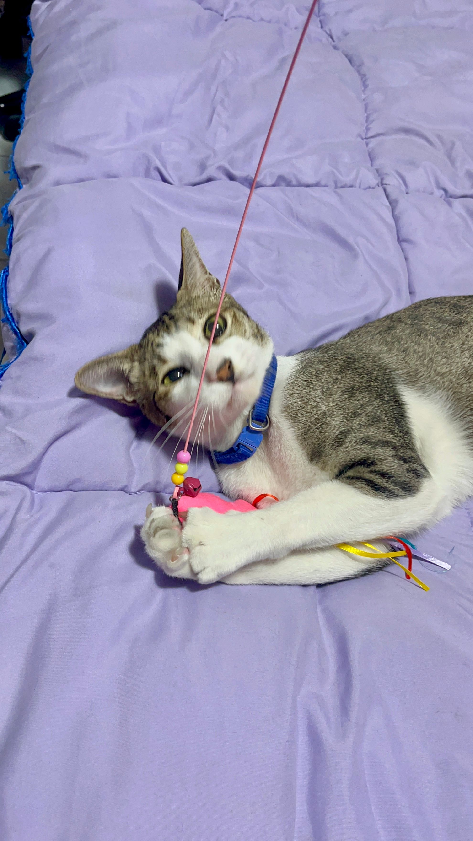 image-1