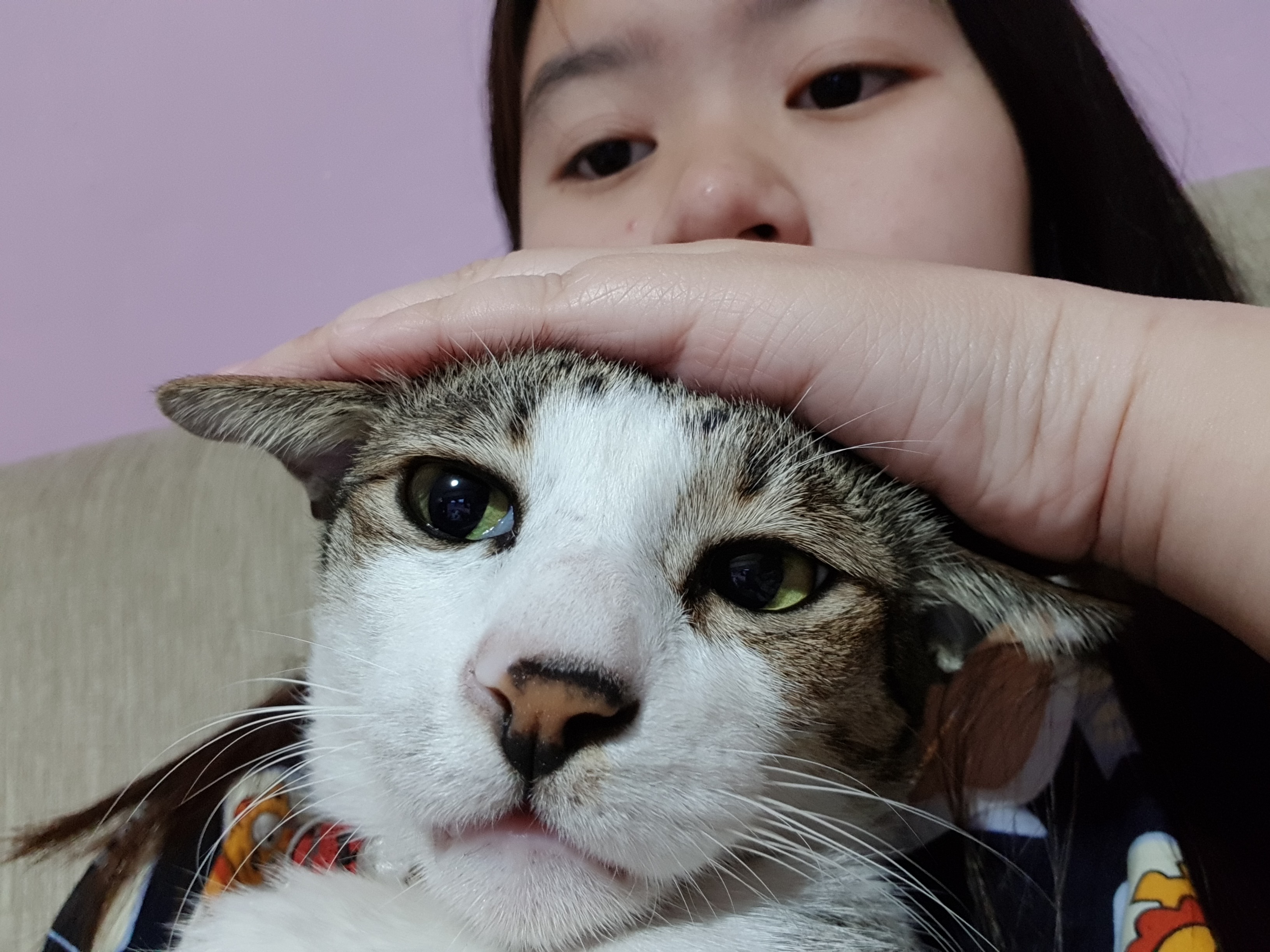image-5