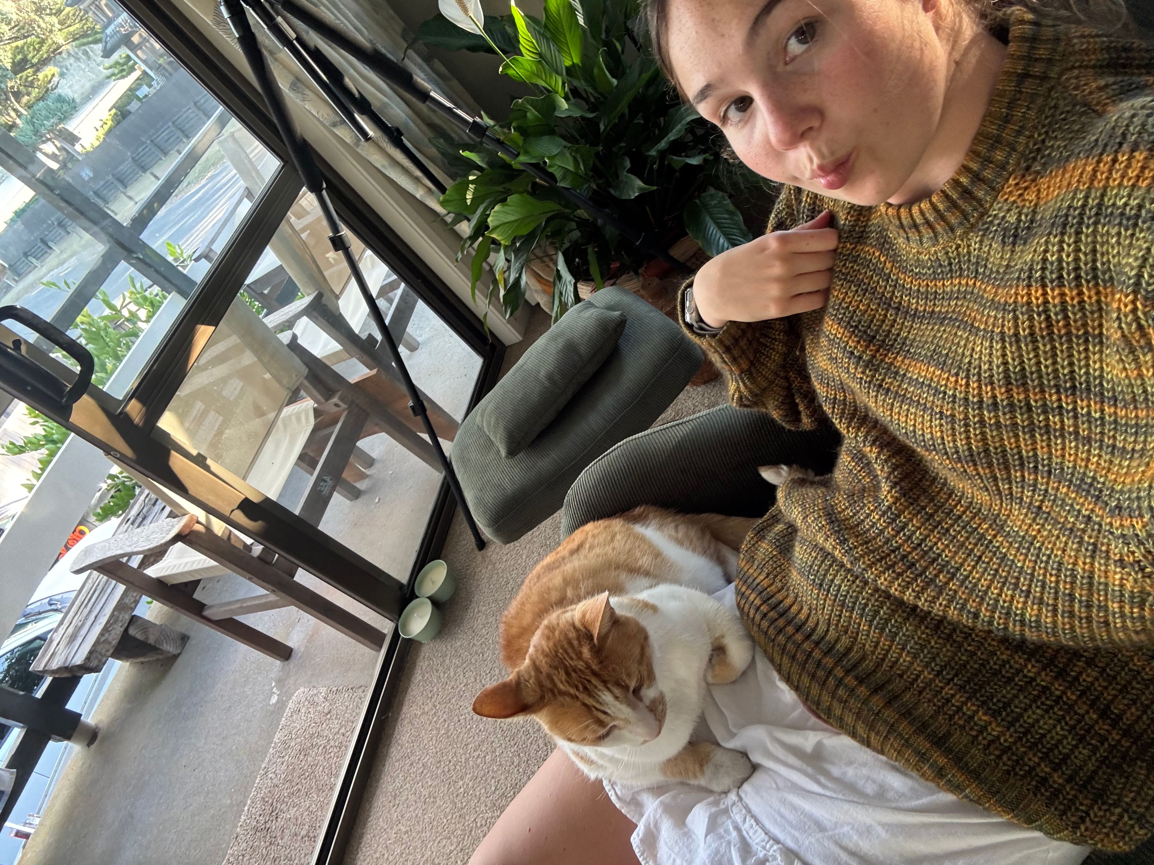 image-6
