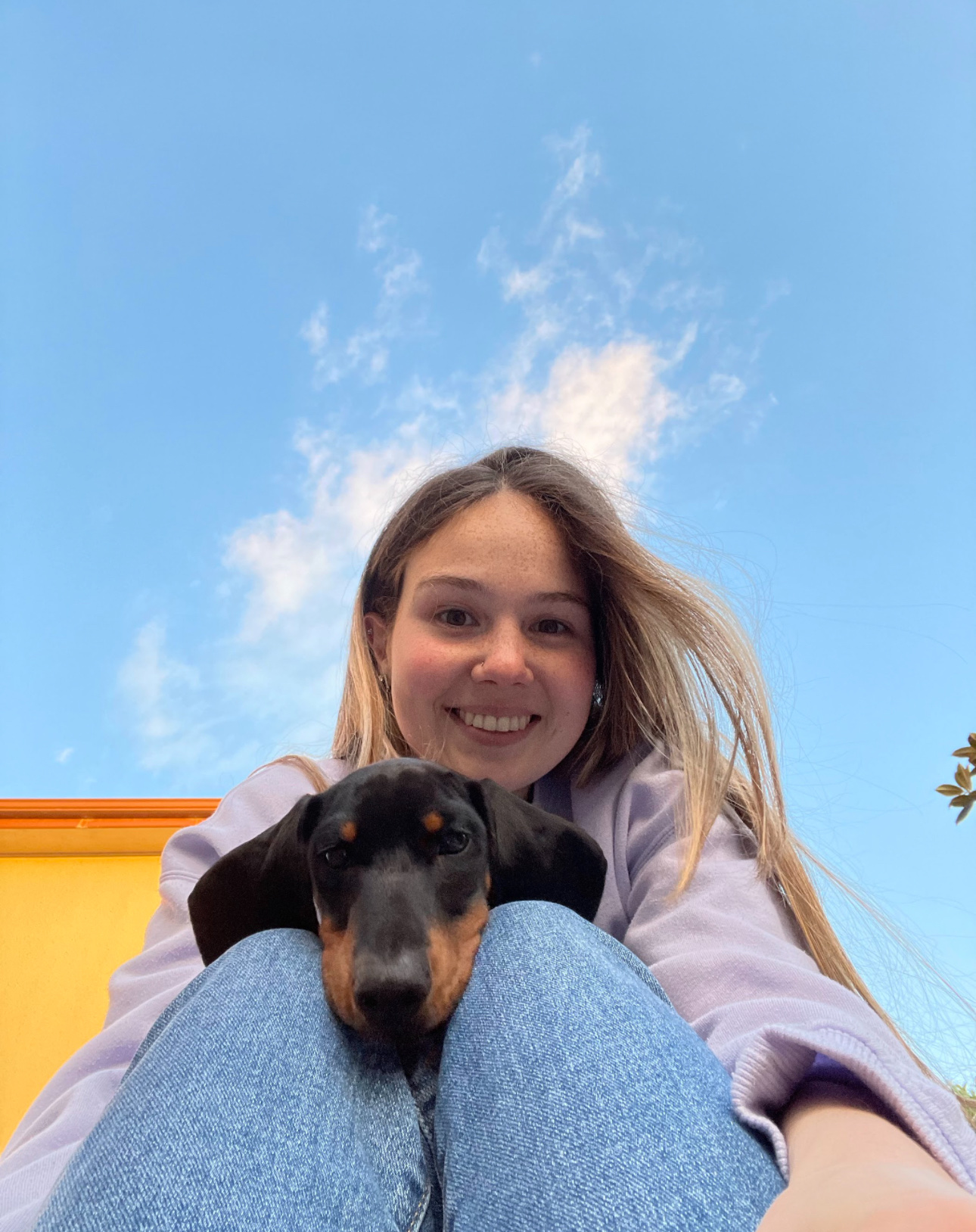 image-8