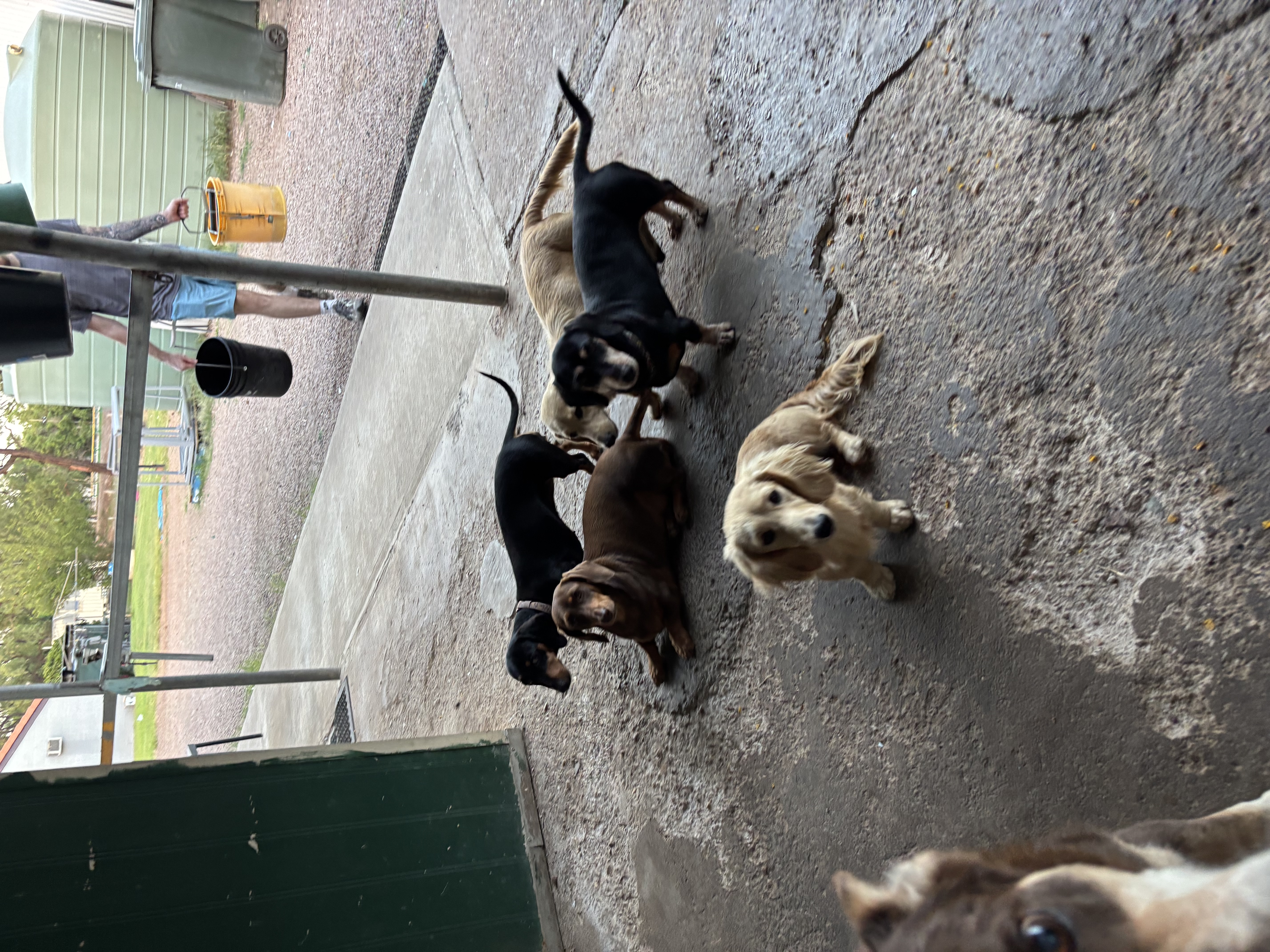 image-7