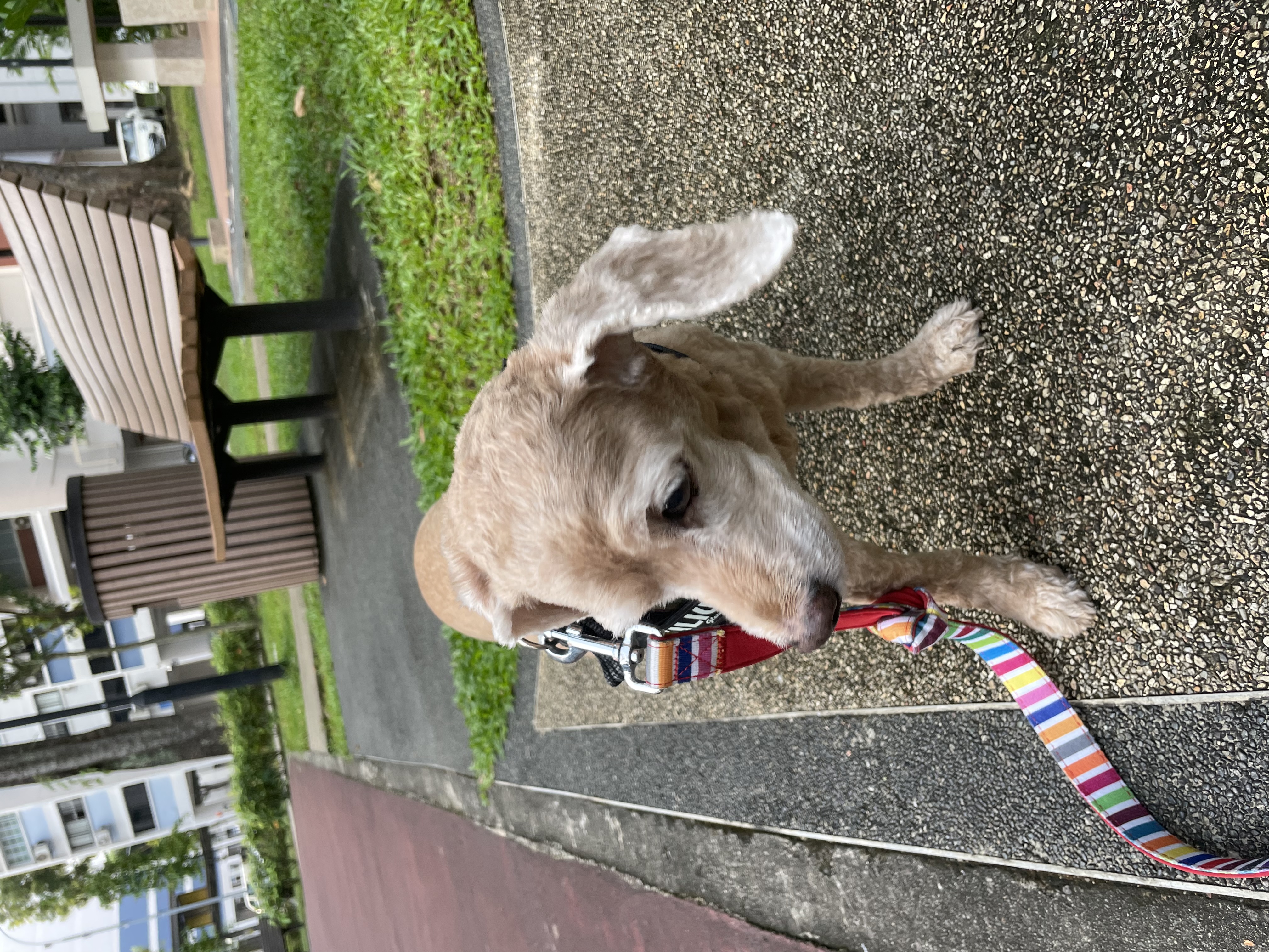 image-4