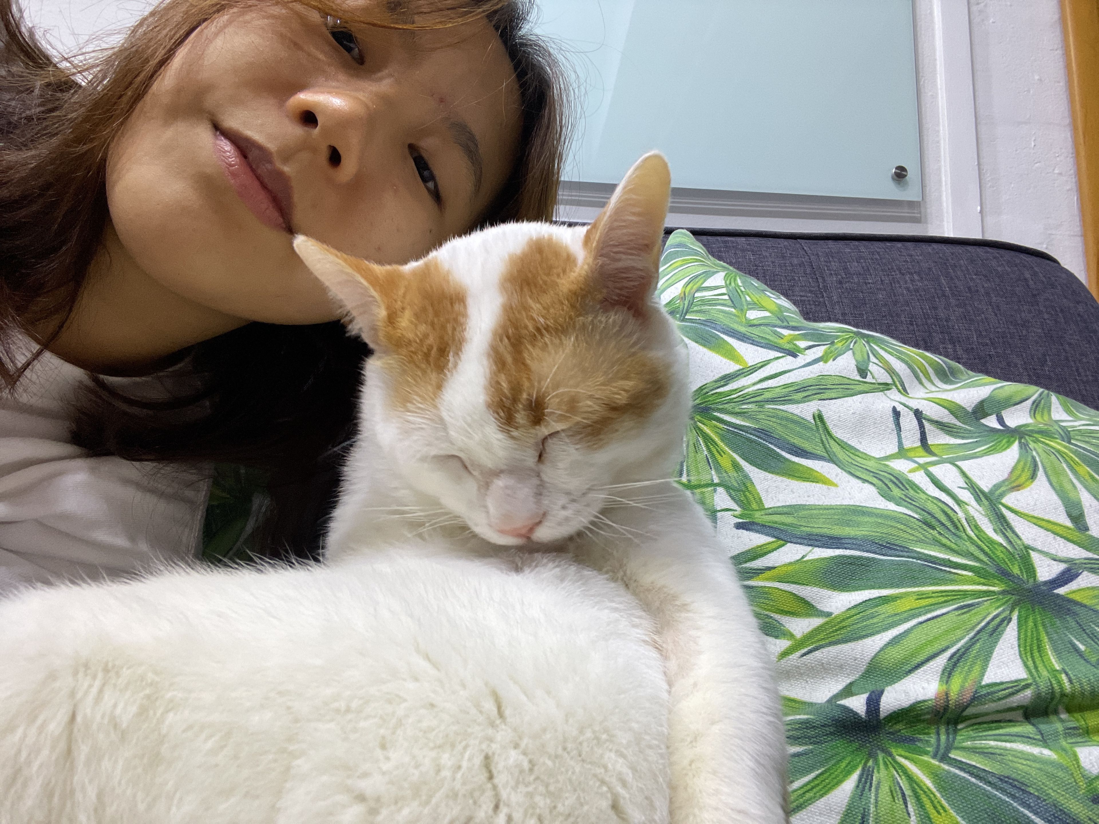 image-9
