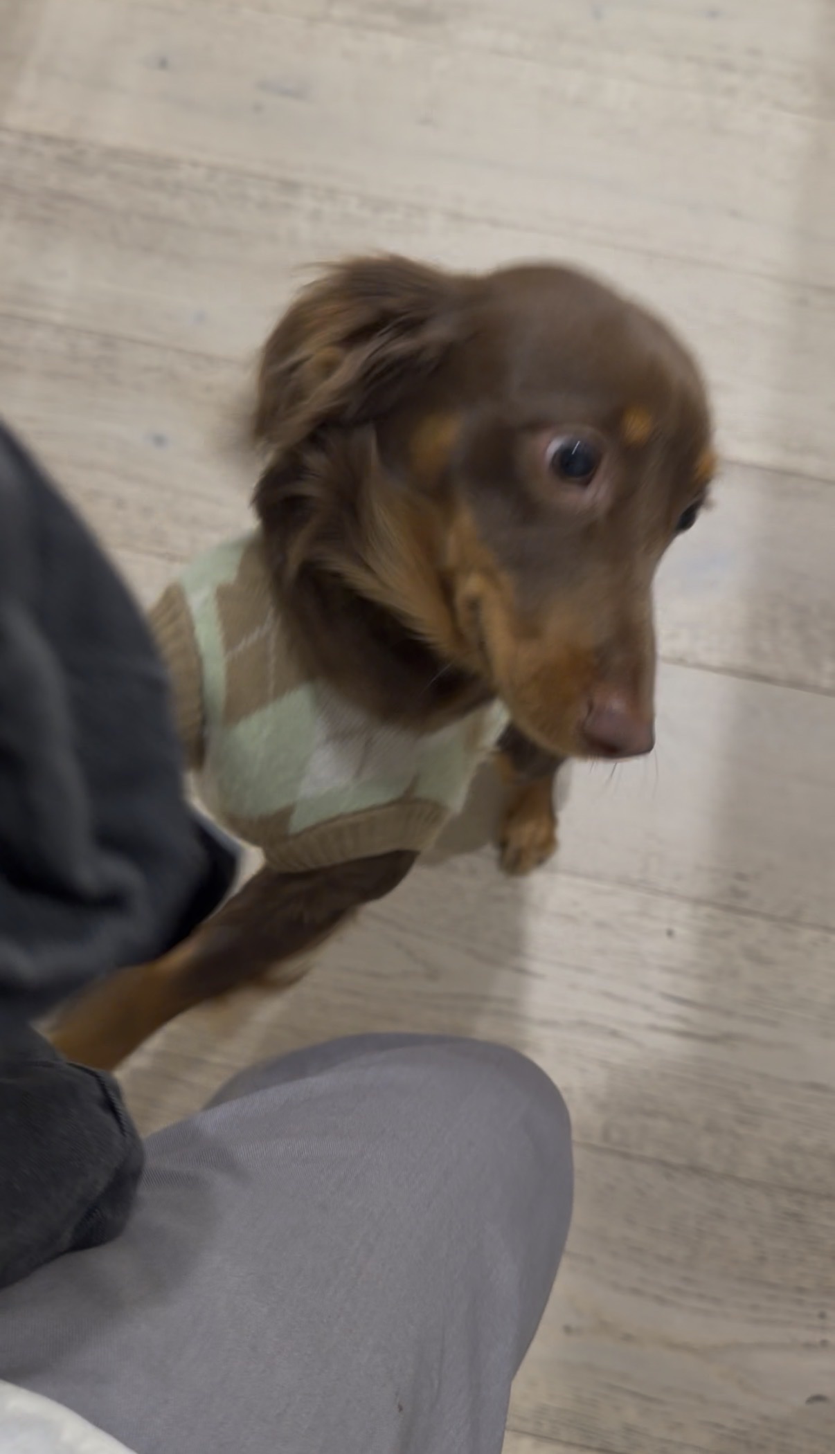 image-9