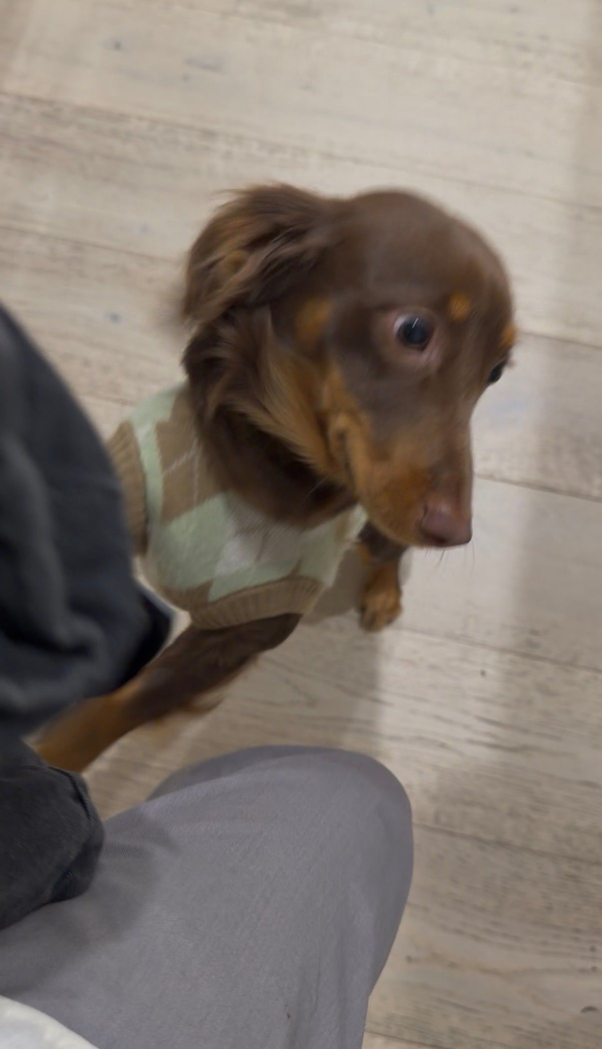 image-9