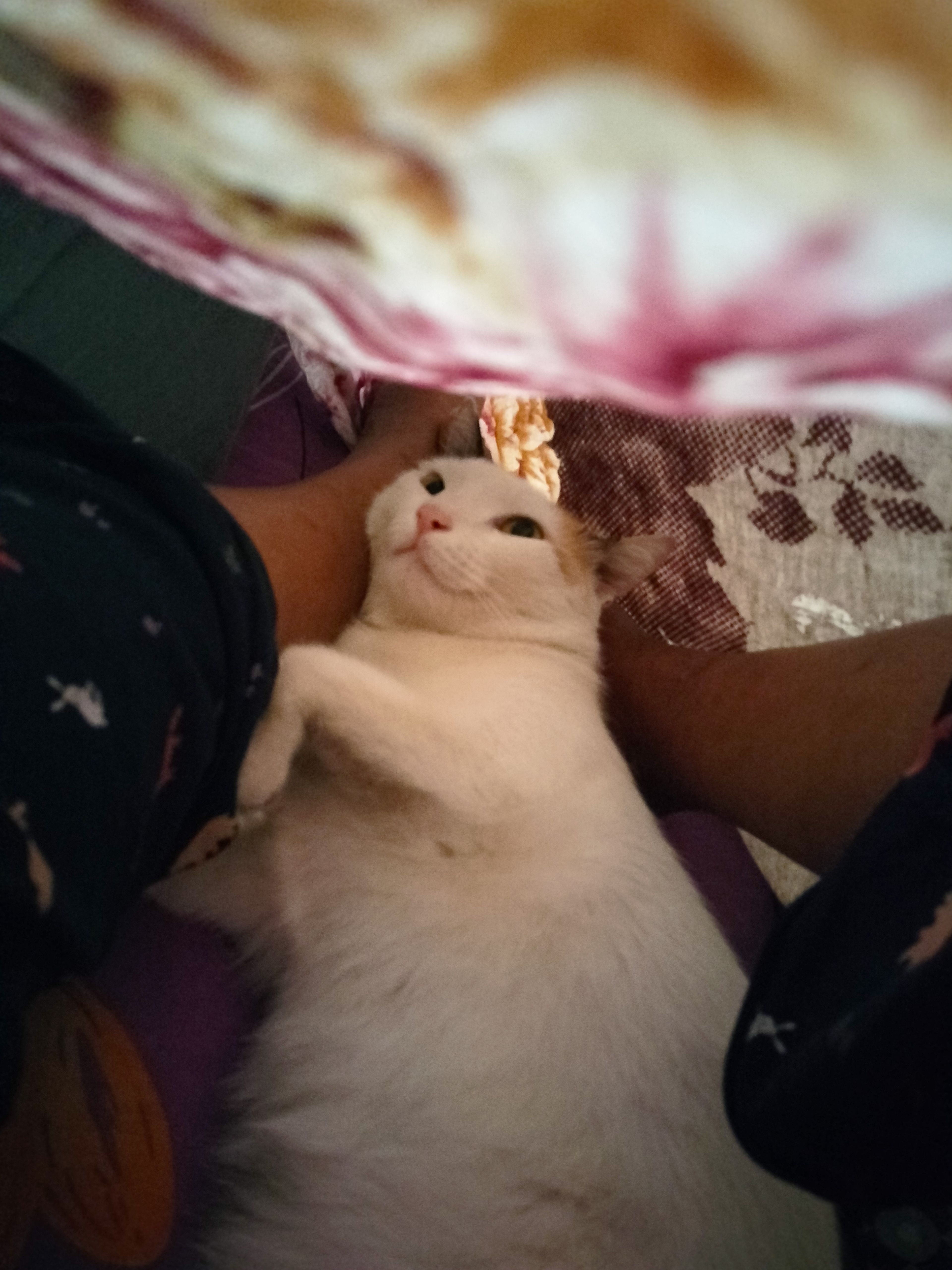 image-6
