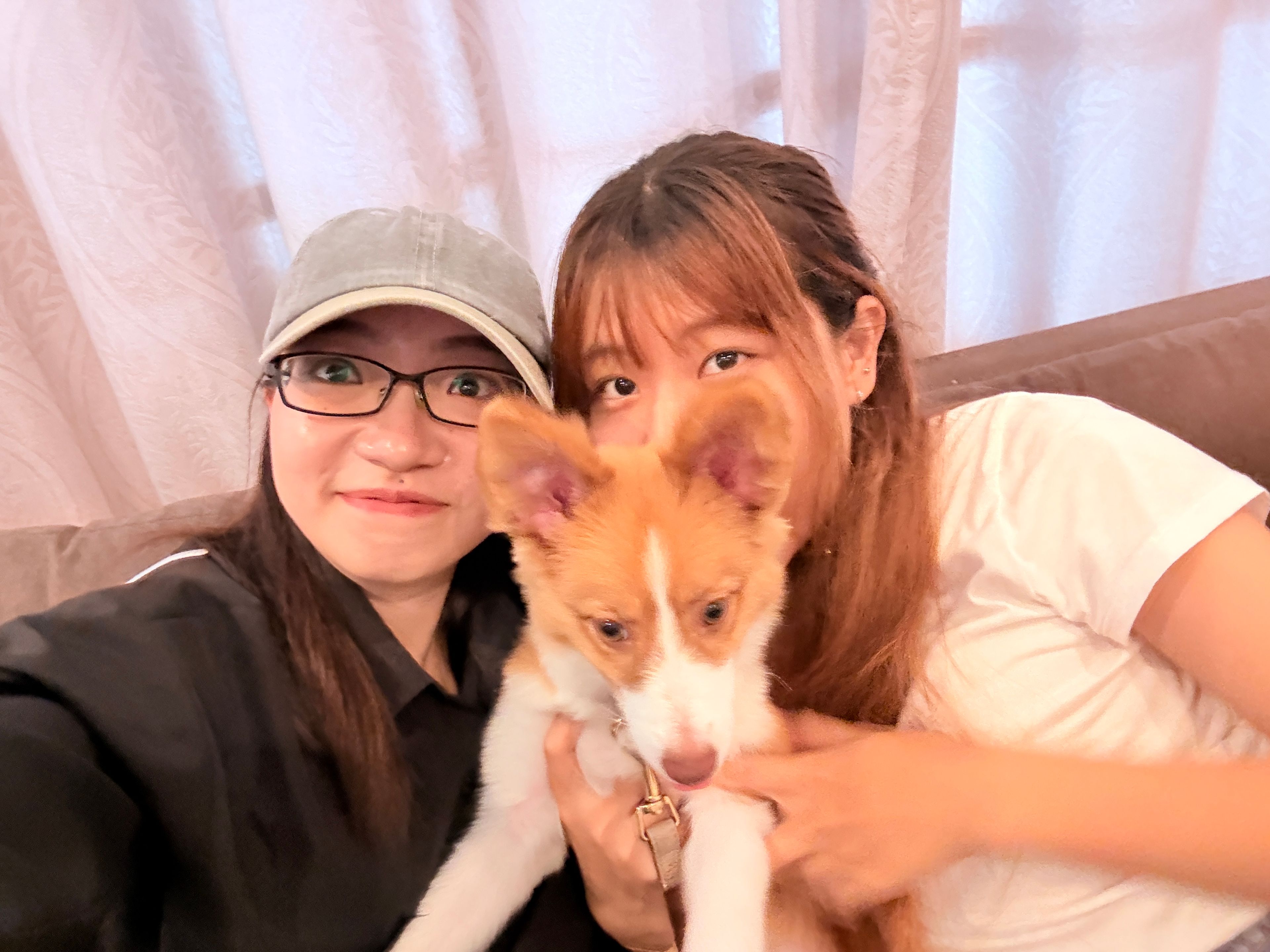image-2