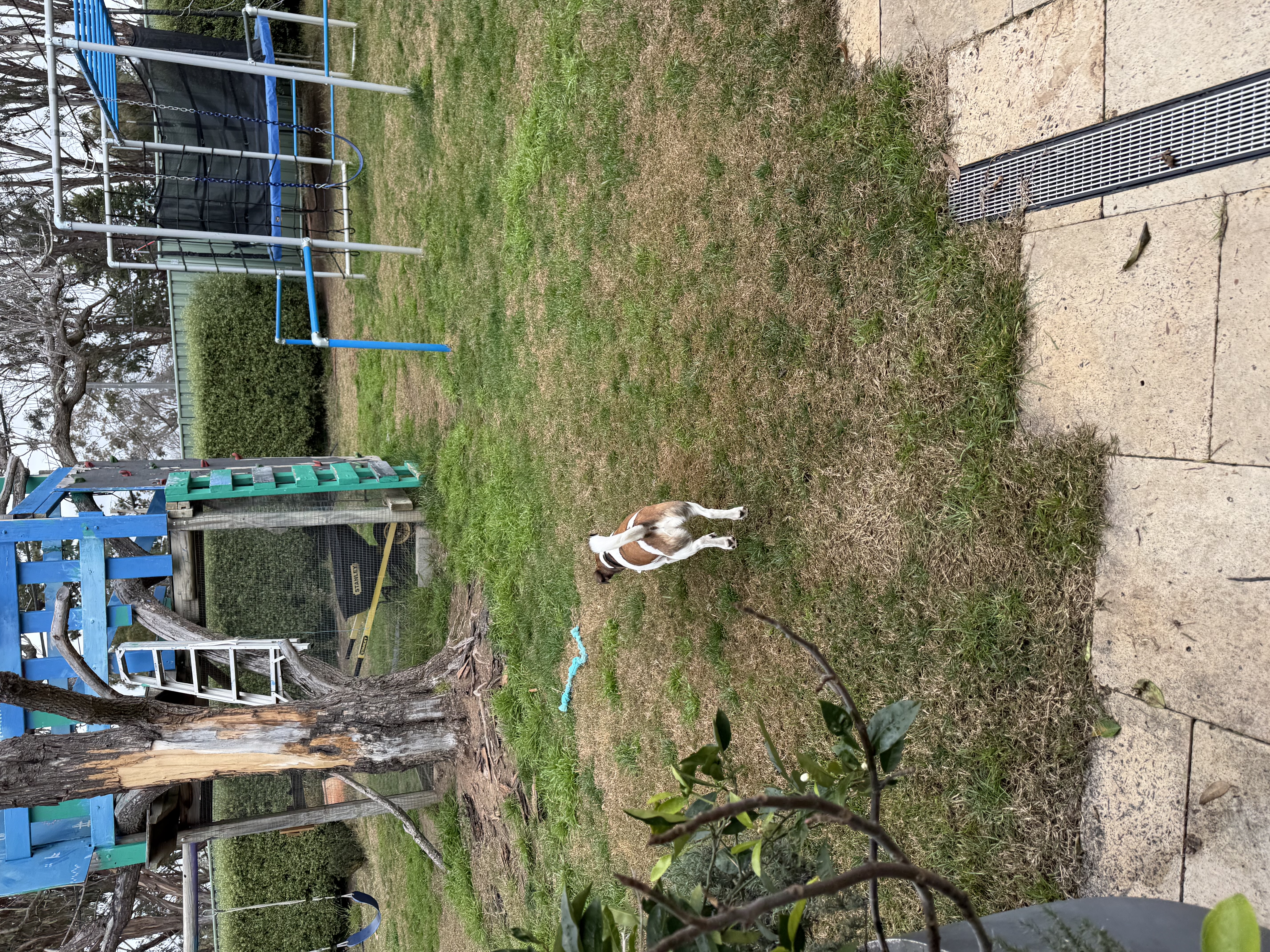 image-7