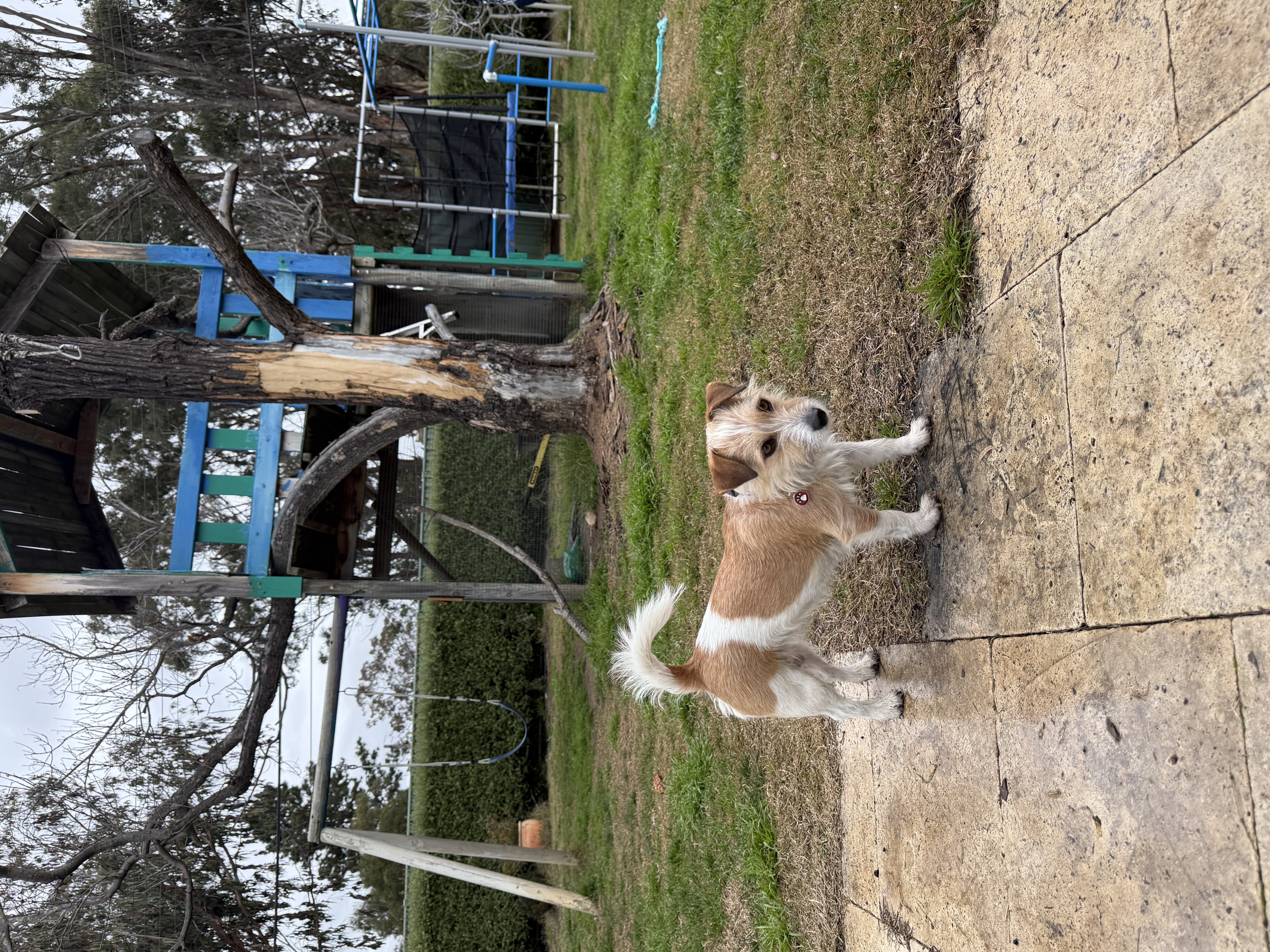 image-5