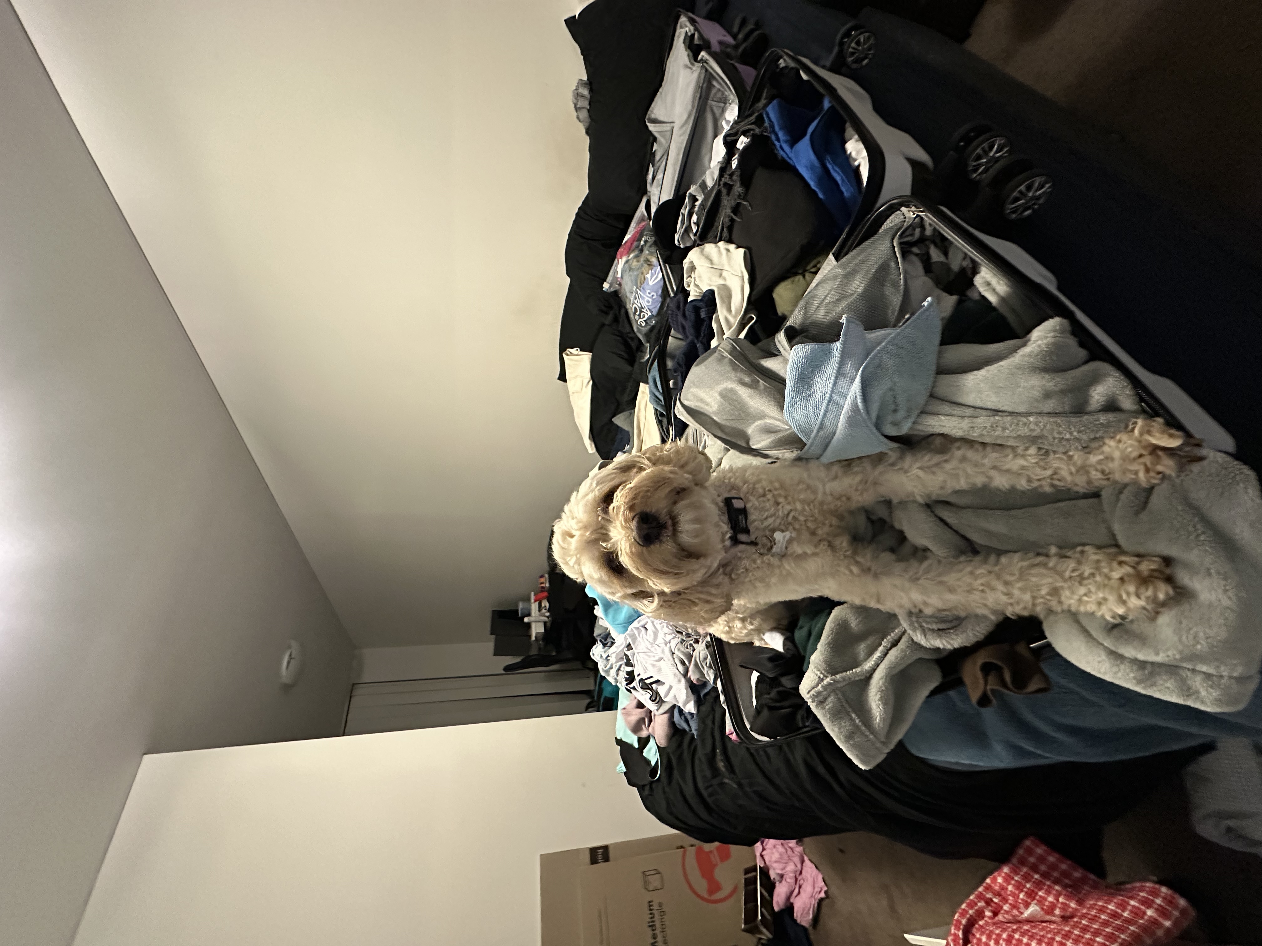 image-5