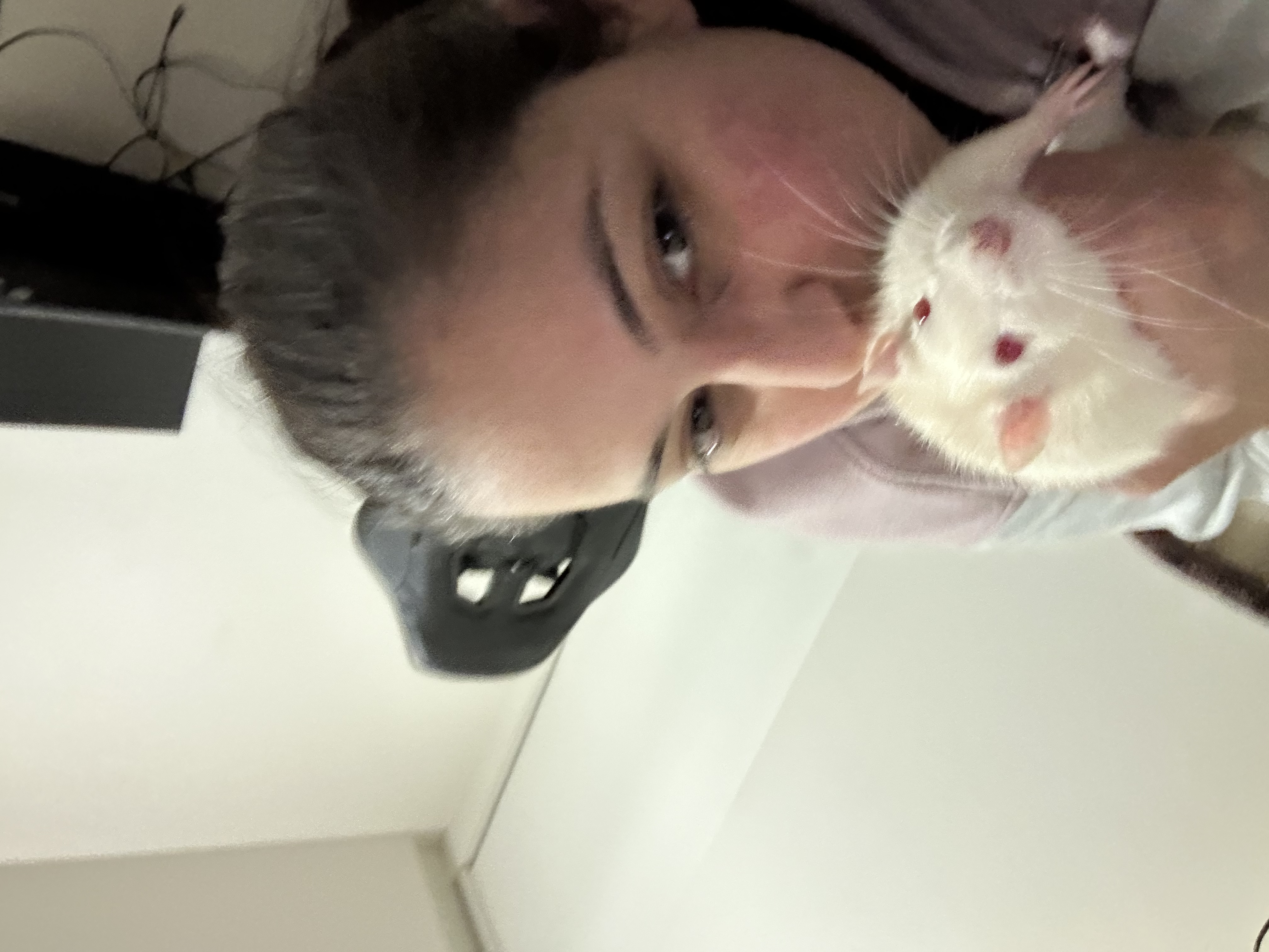 image-7