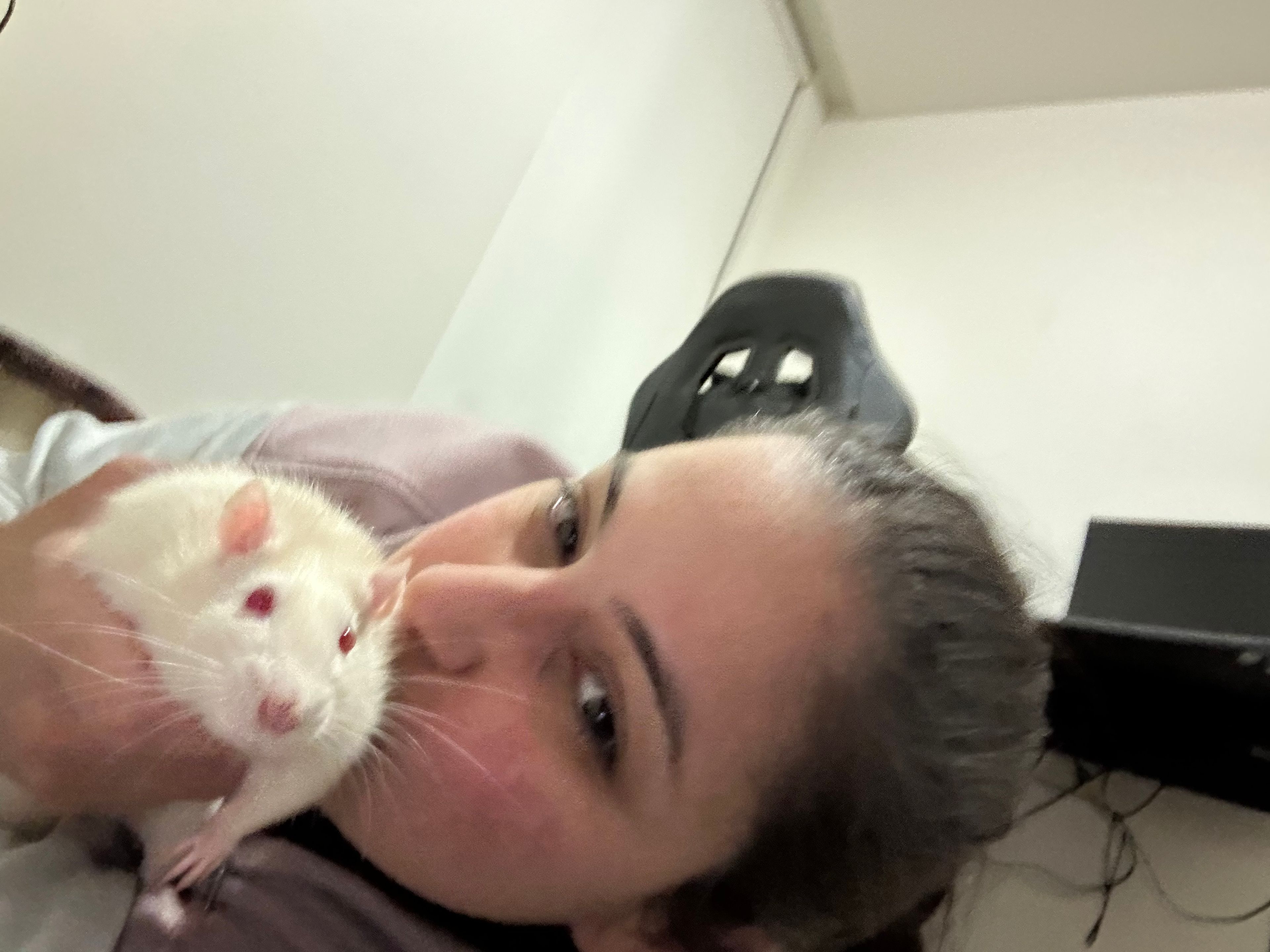 image-7