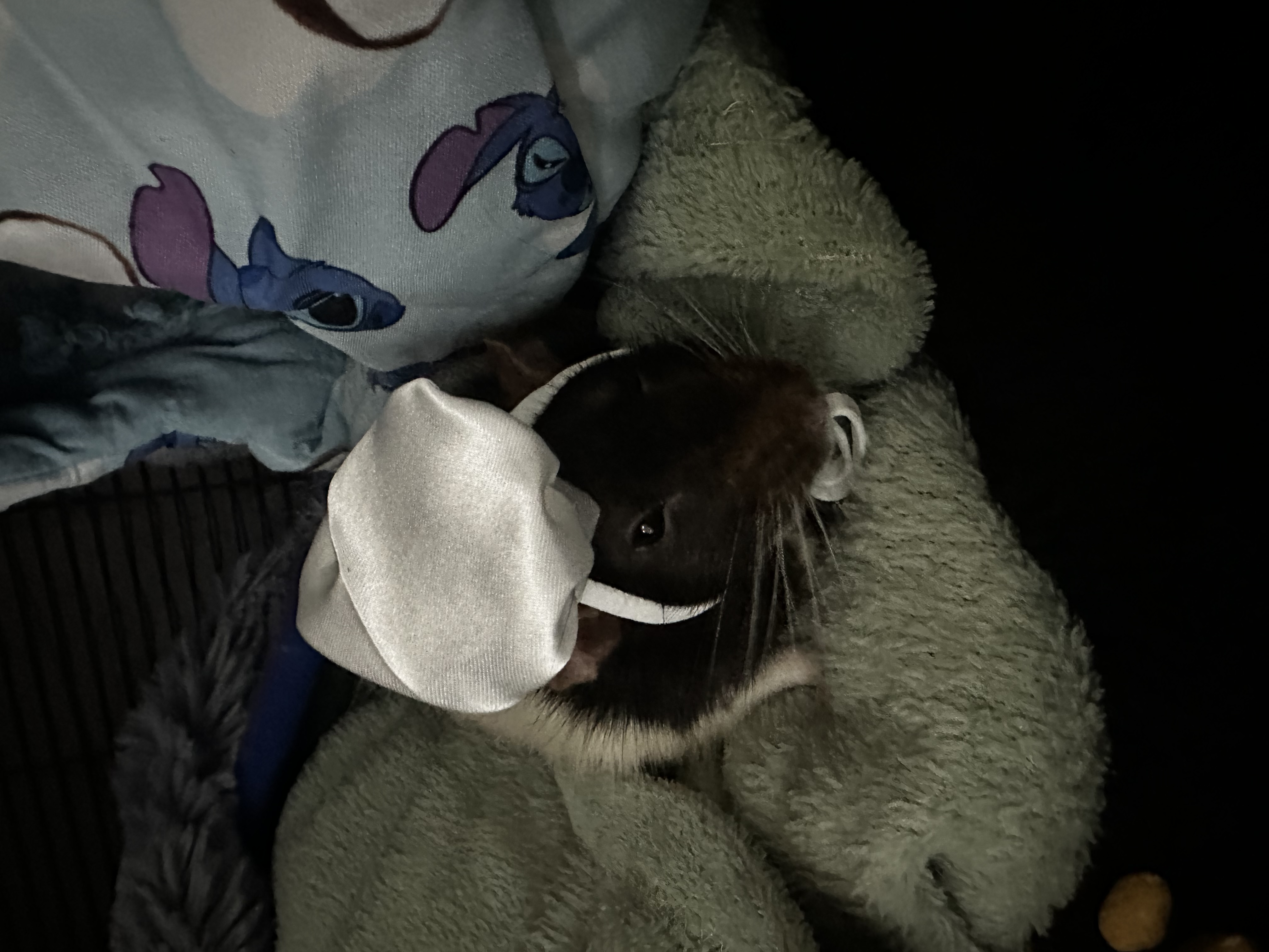 image-6