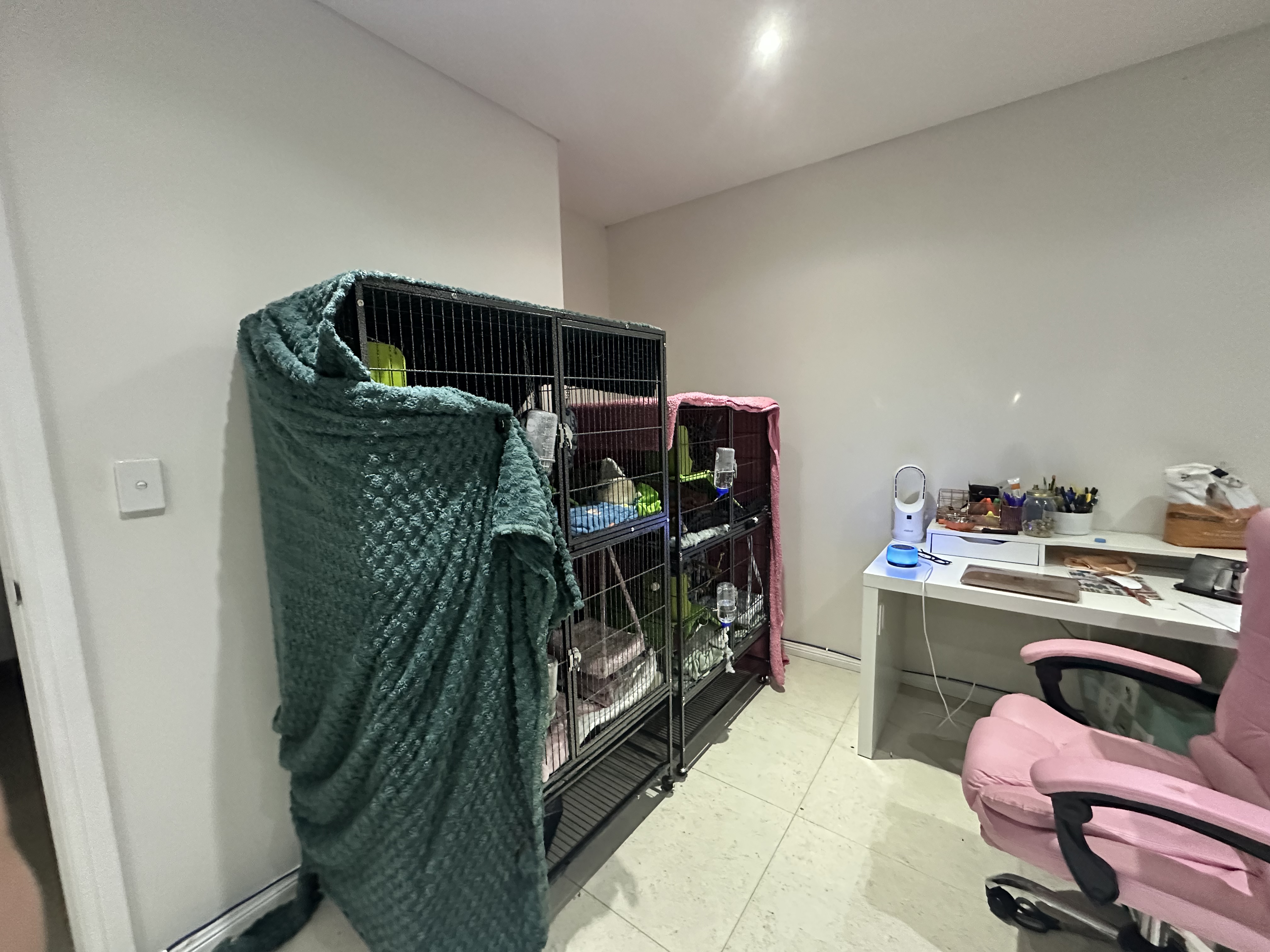 image-20