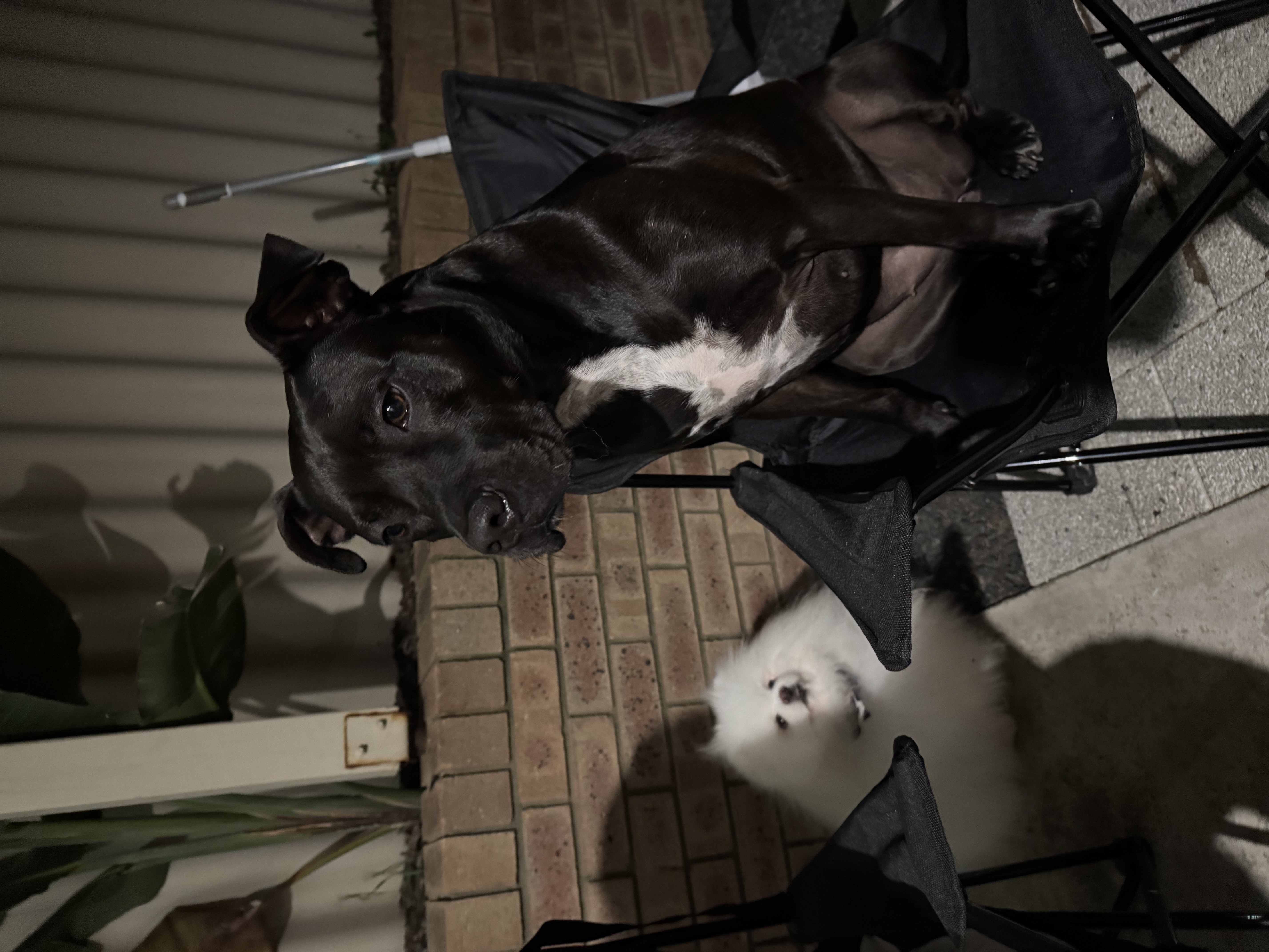 image-8