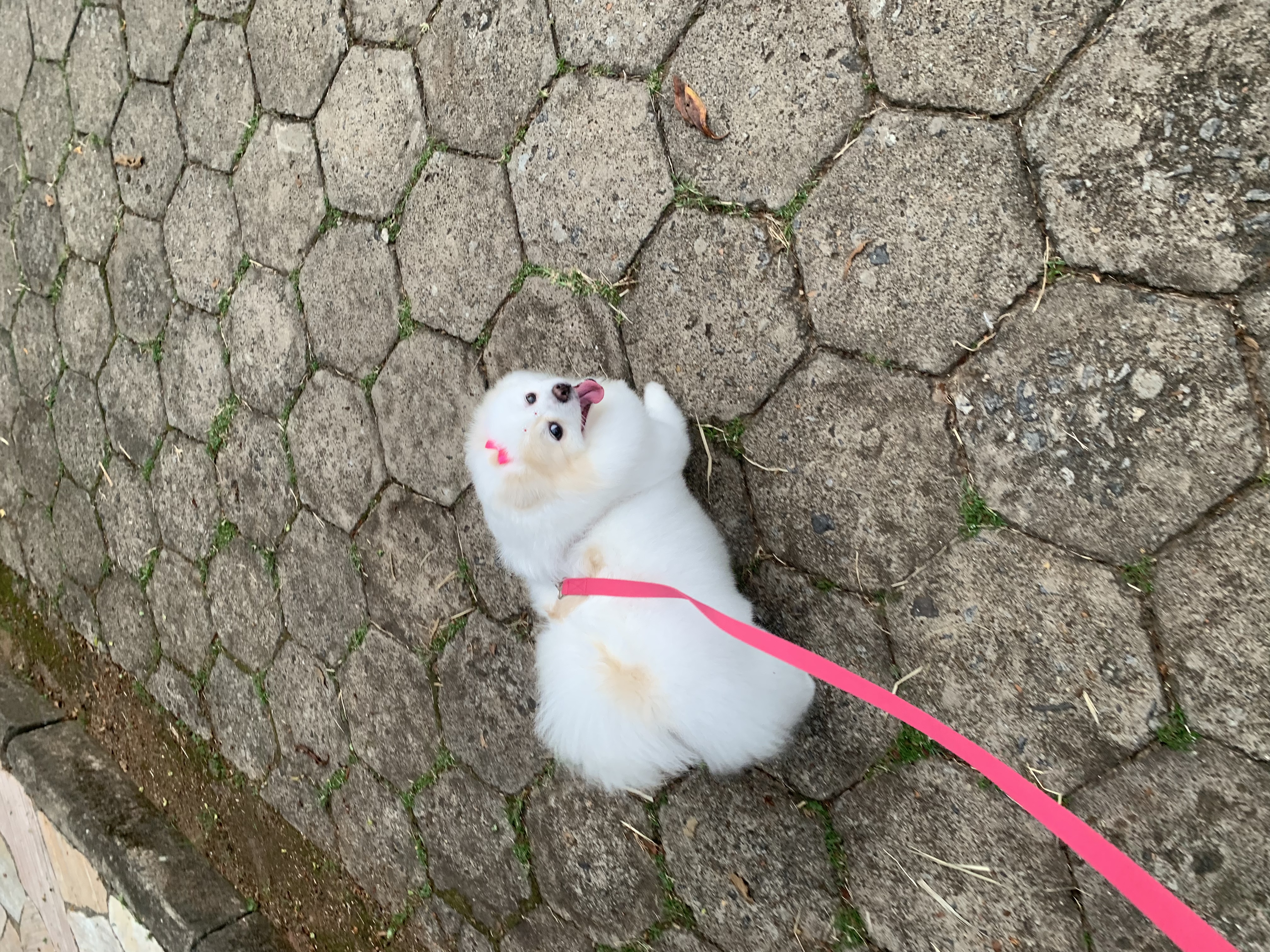 image-7