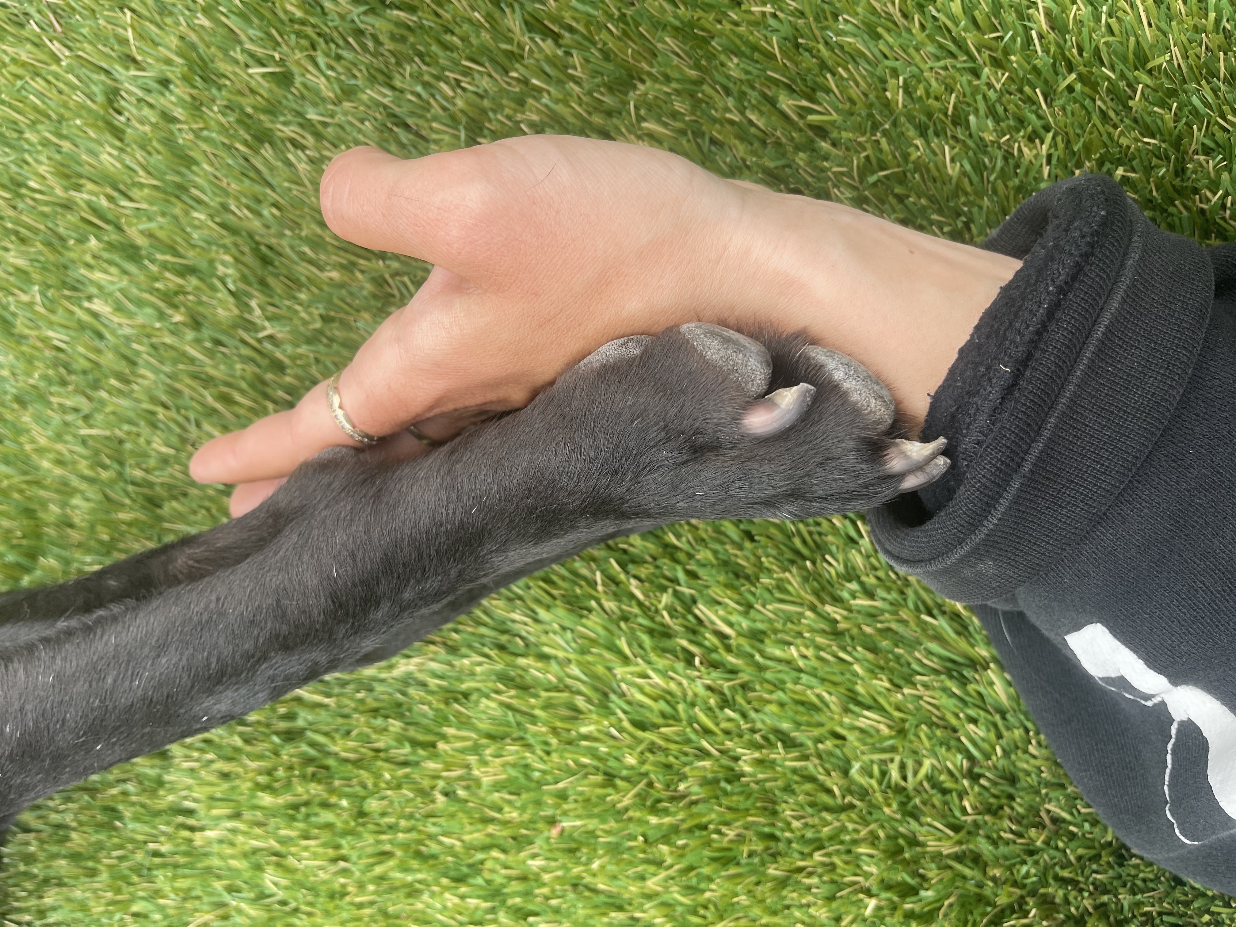 image-2