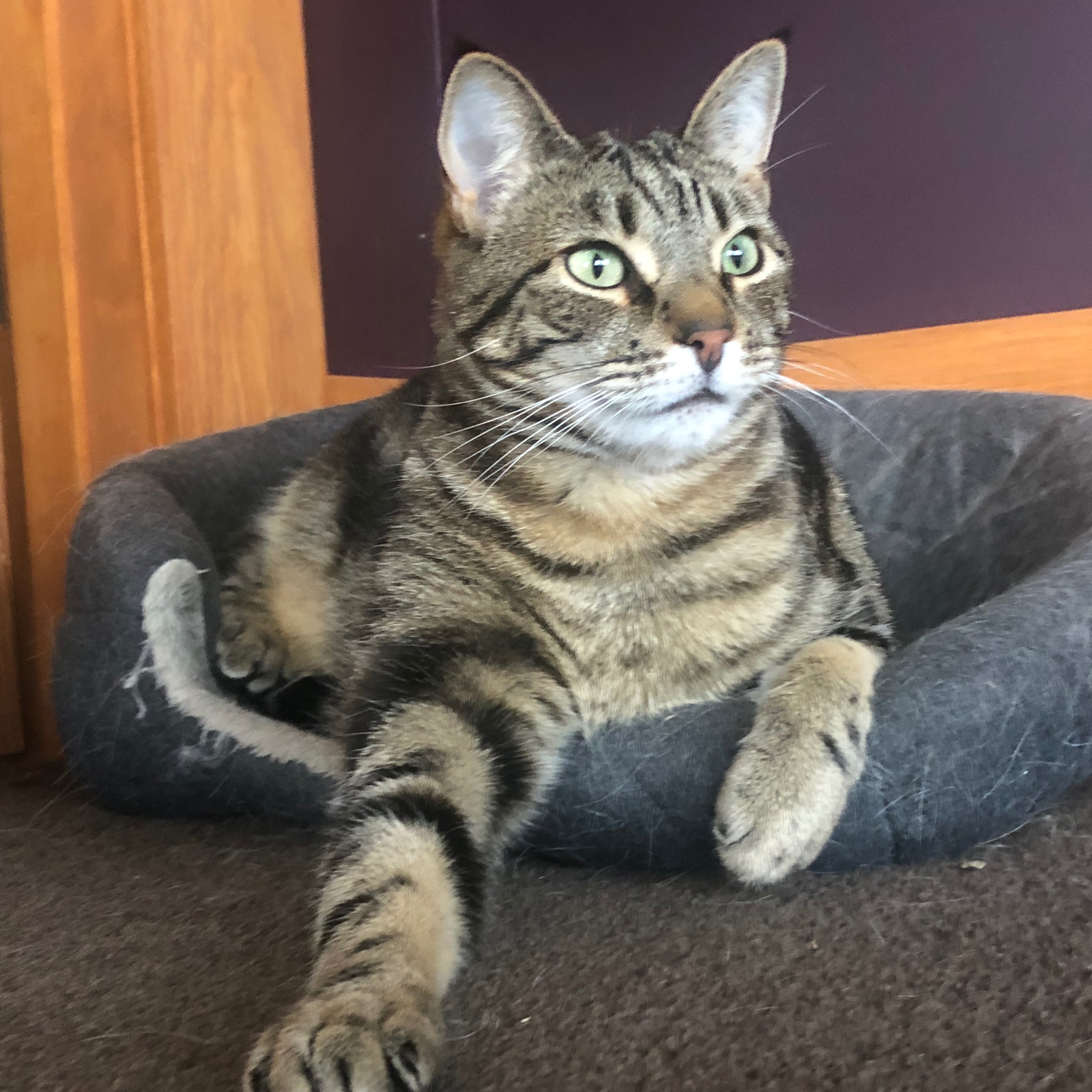 Rosie
