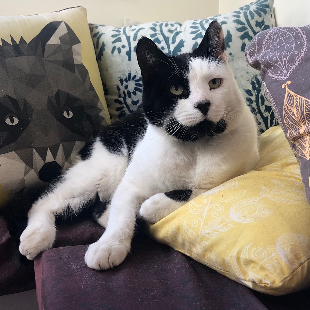 Fergus