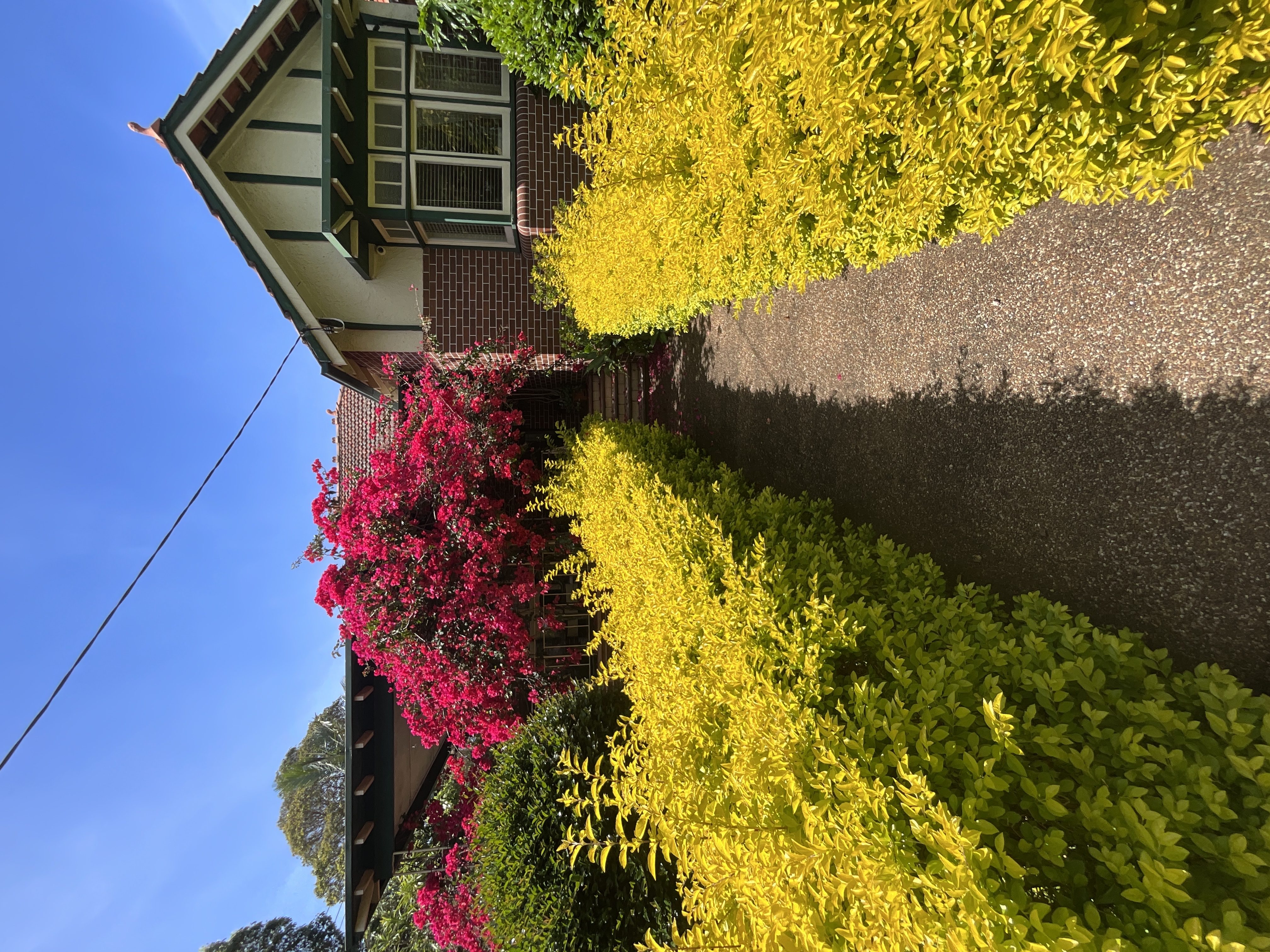 image-15