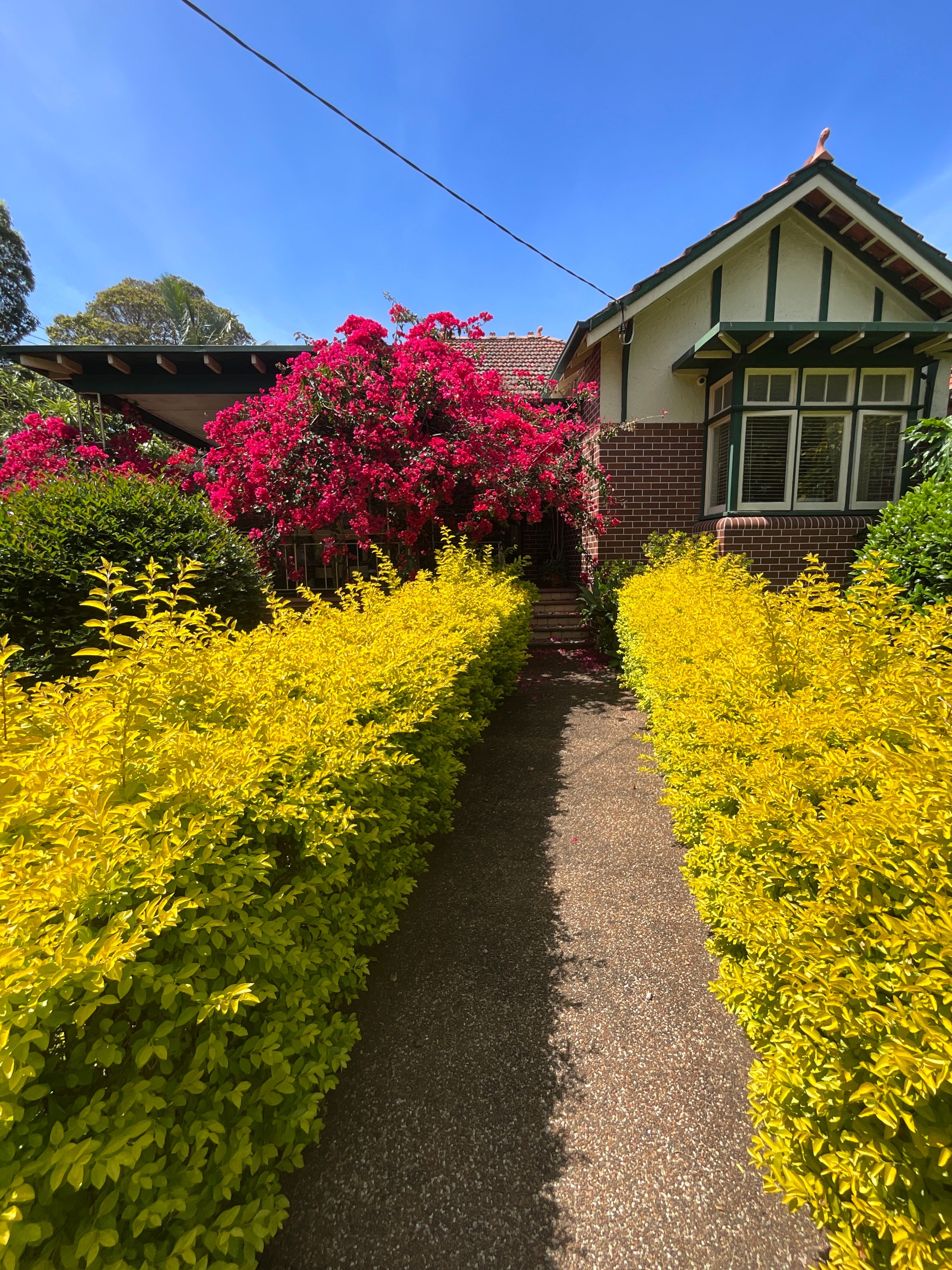 image-15
