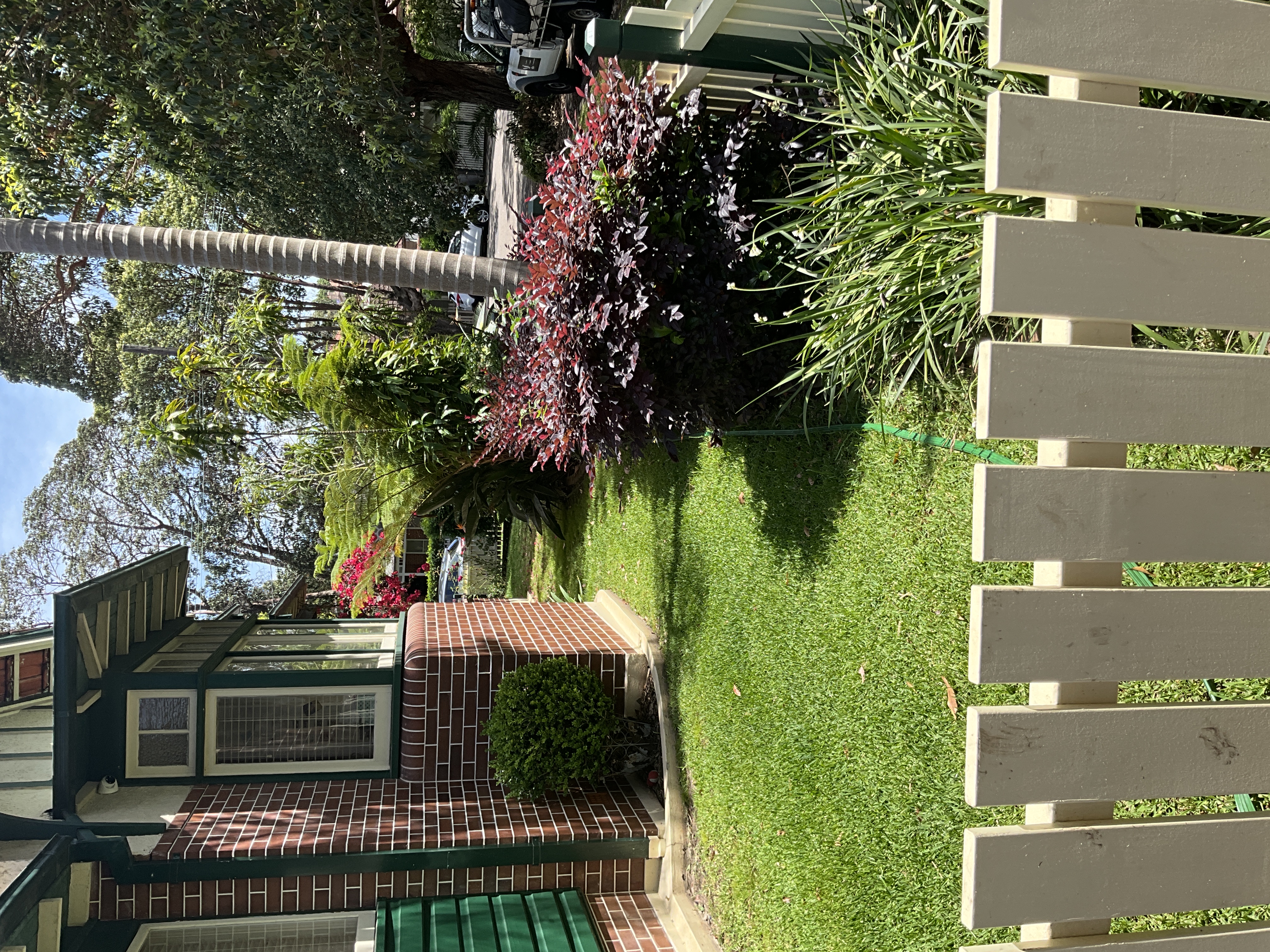 image-18