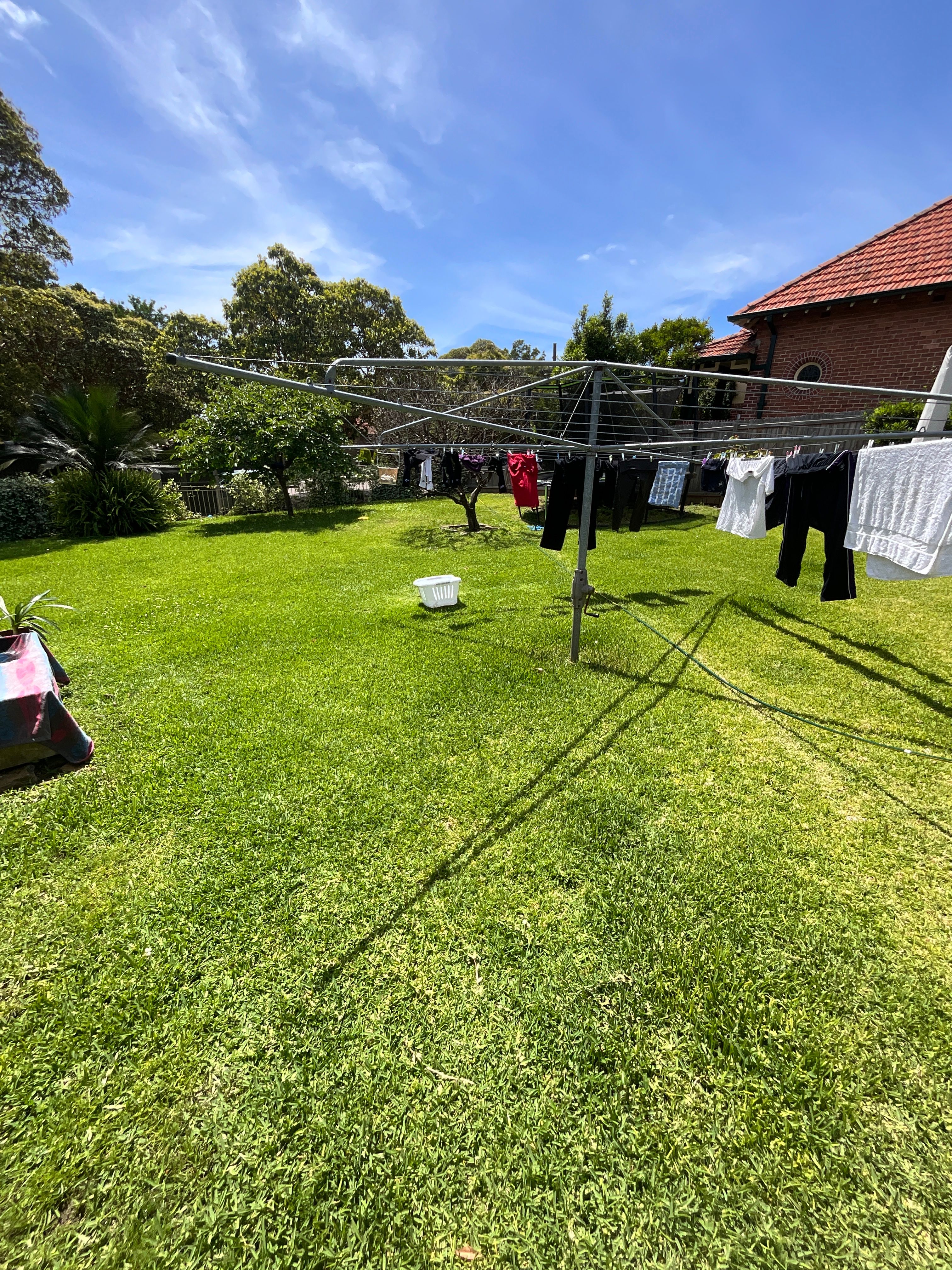 image-17
