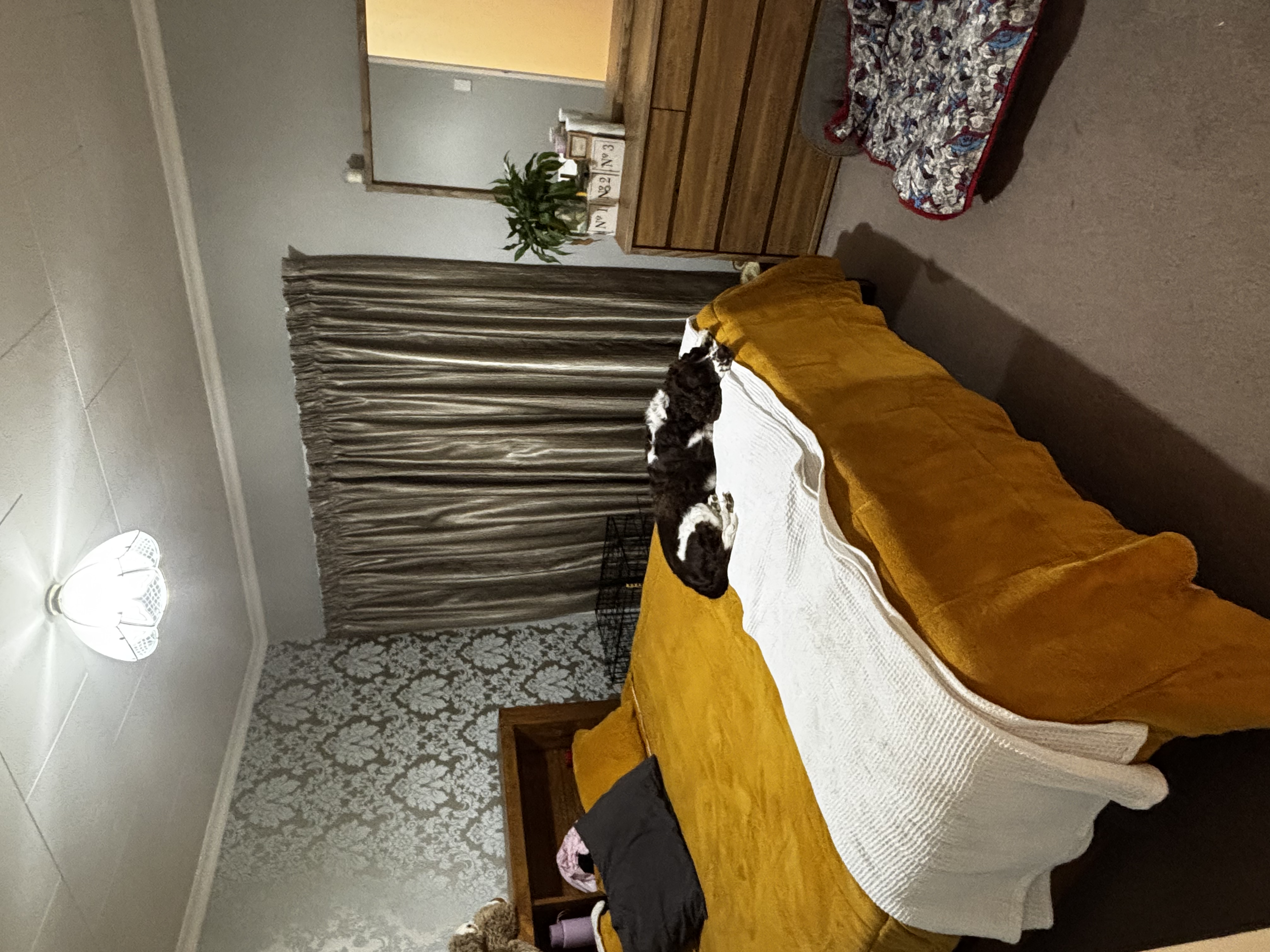image-13