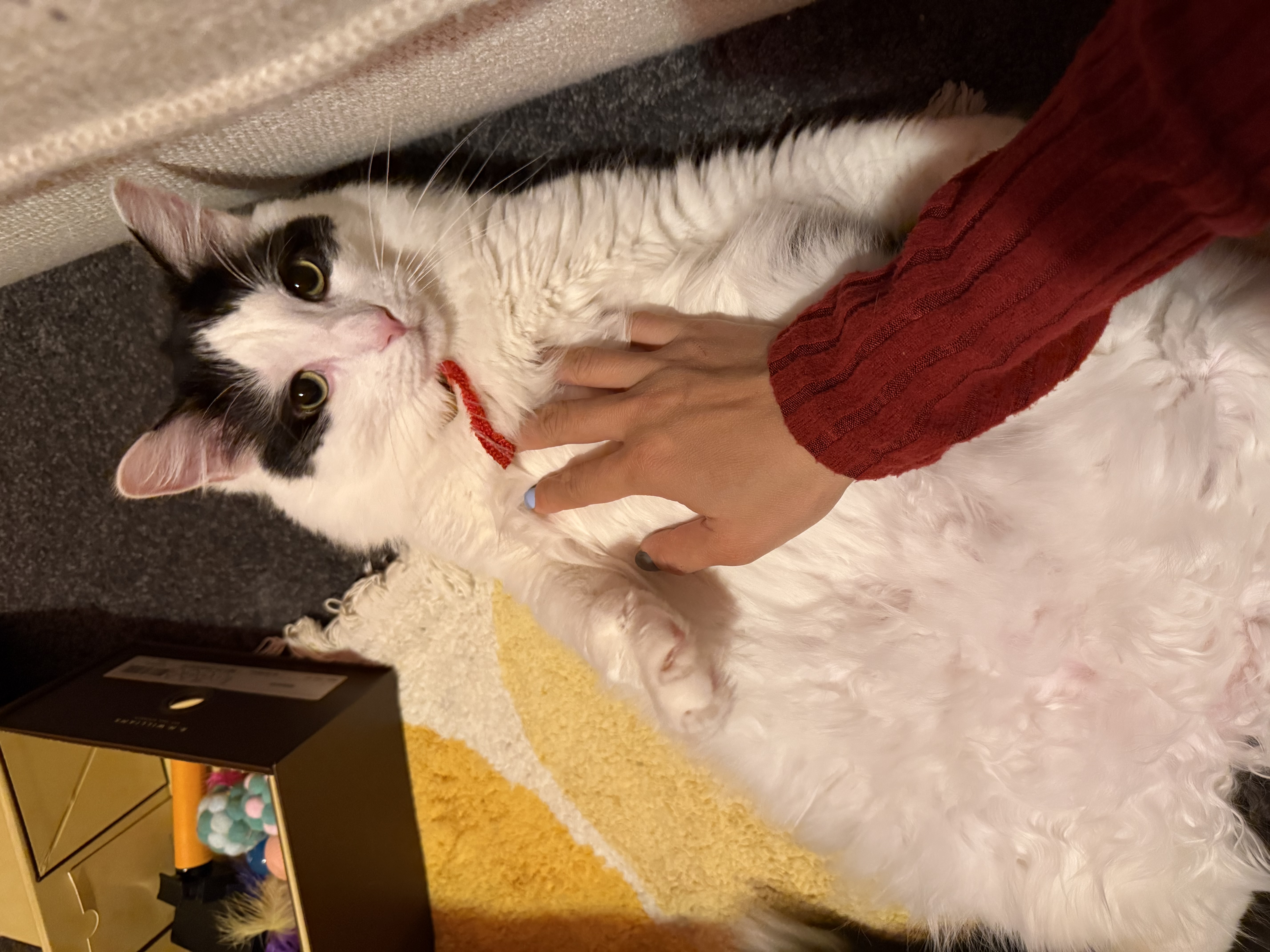 image-6