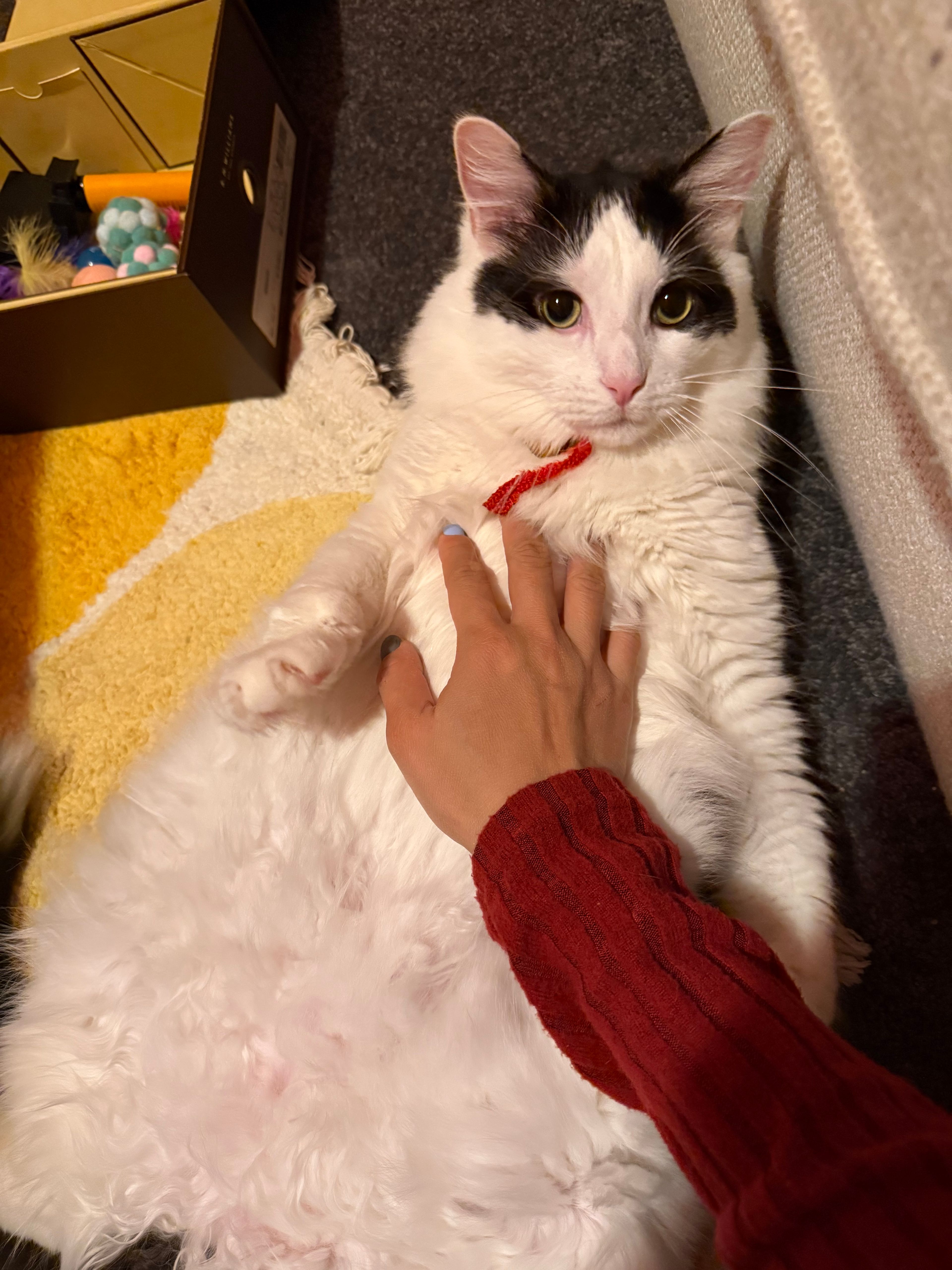 image-6