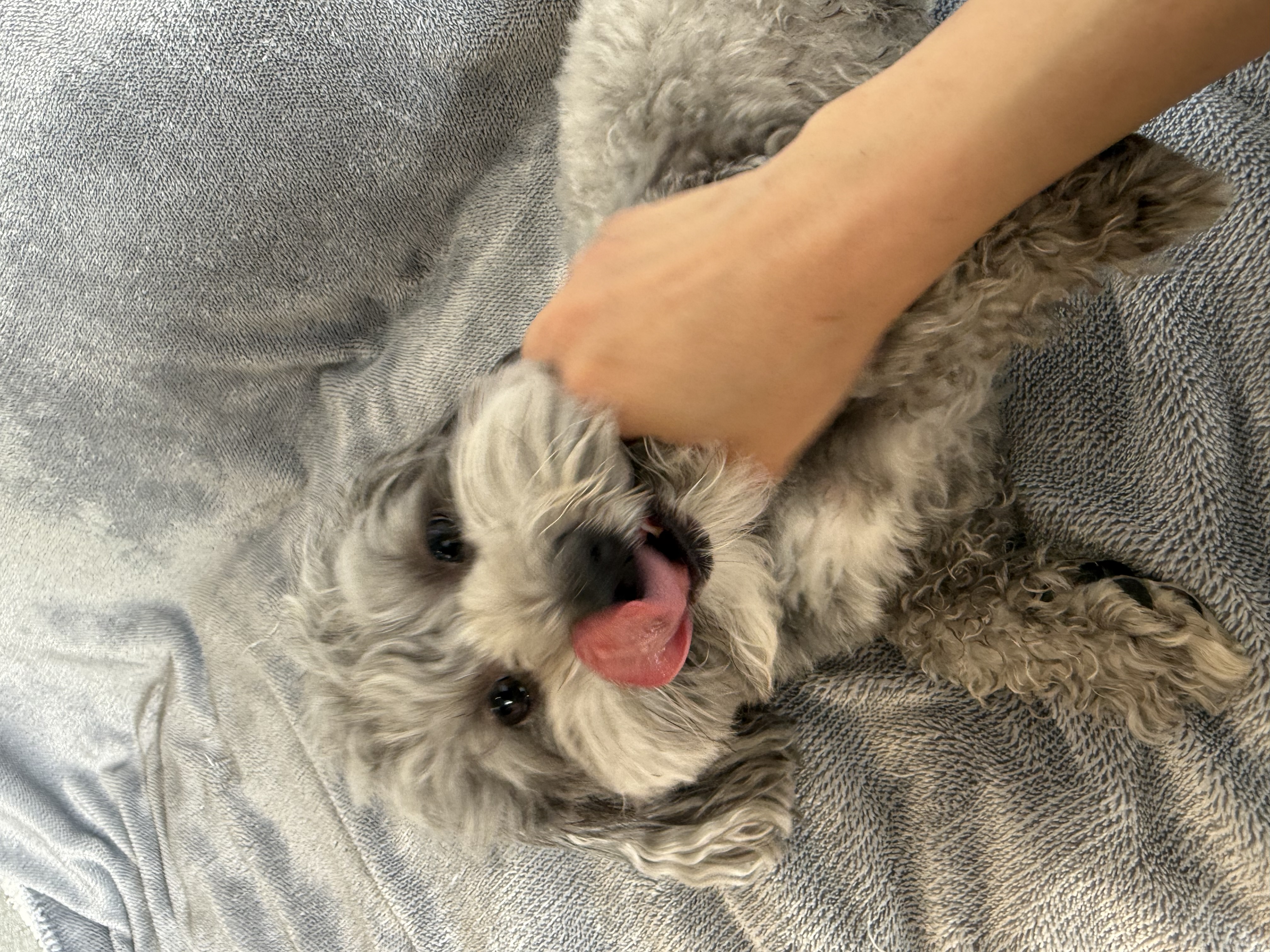 image-11