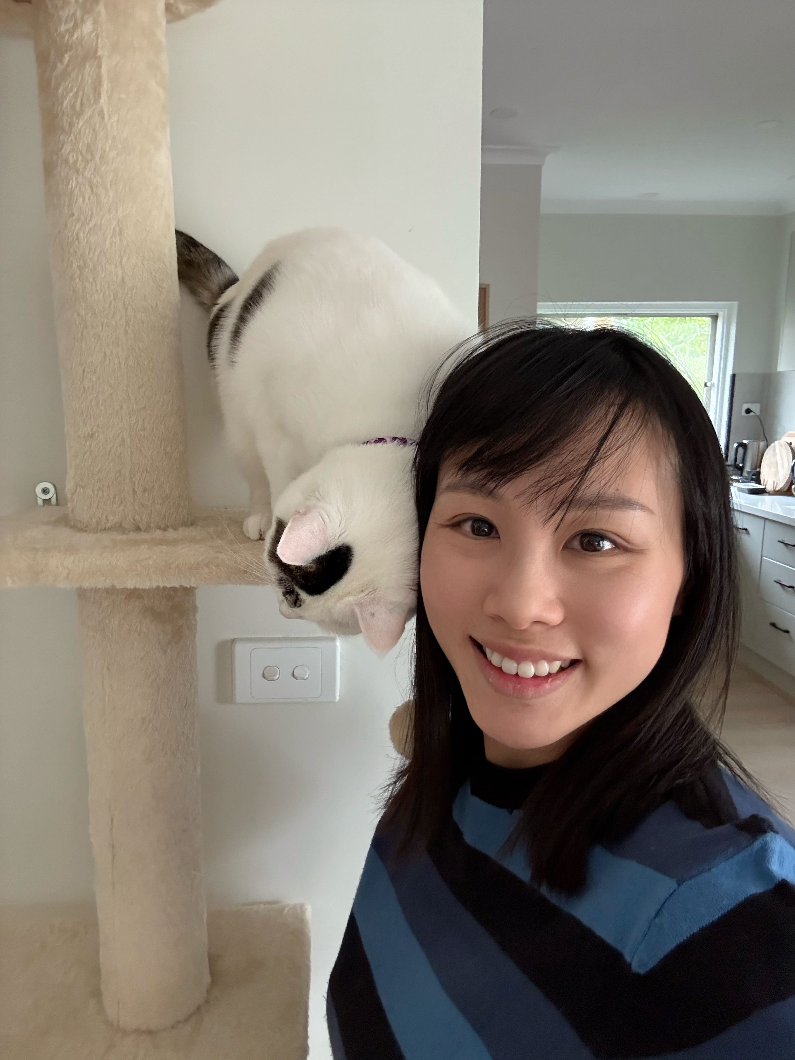 image-20
