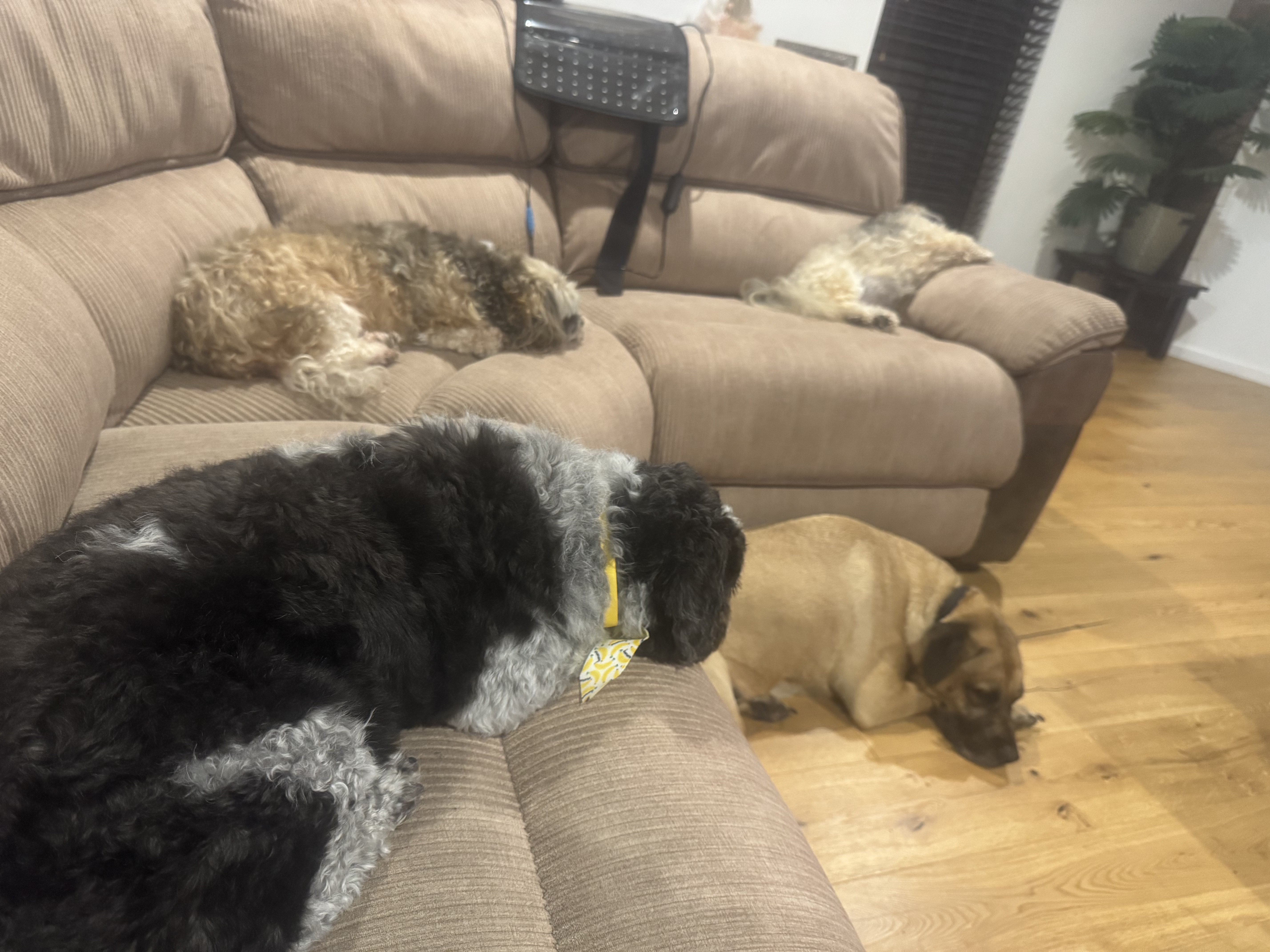 image-26