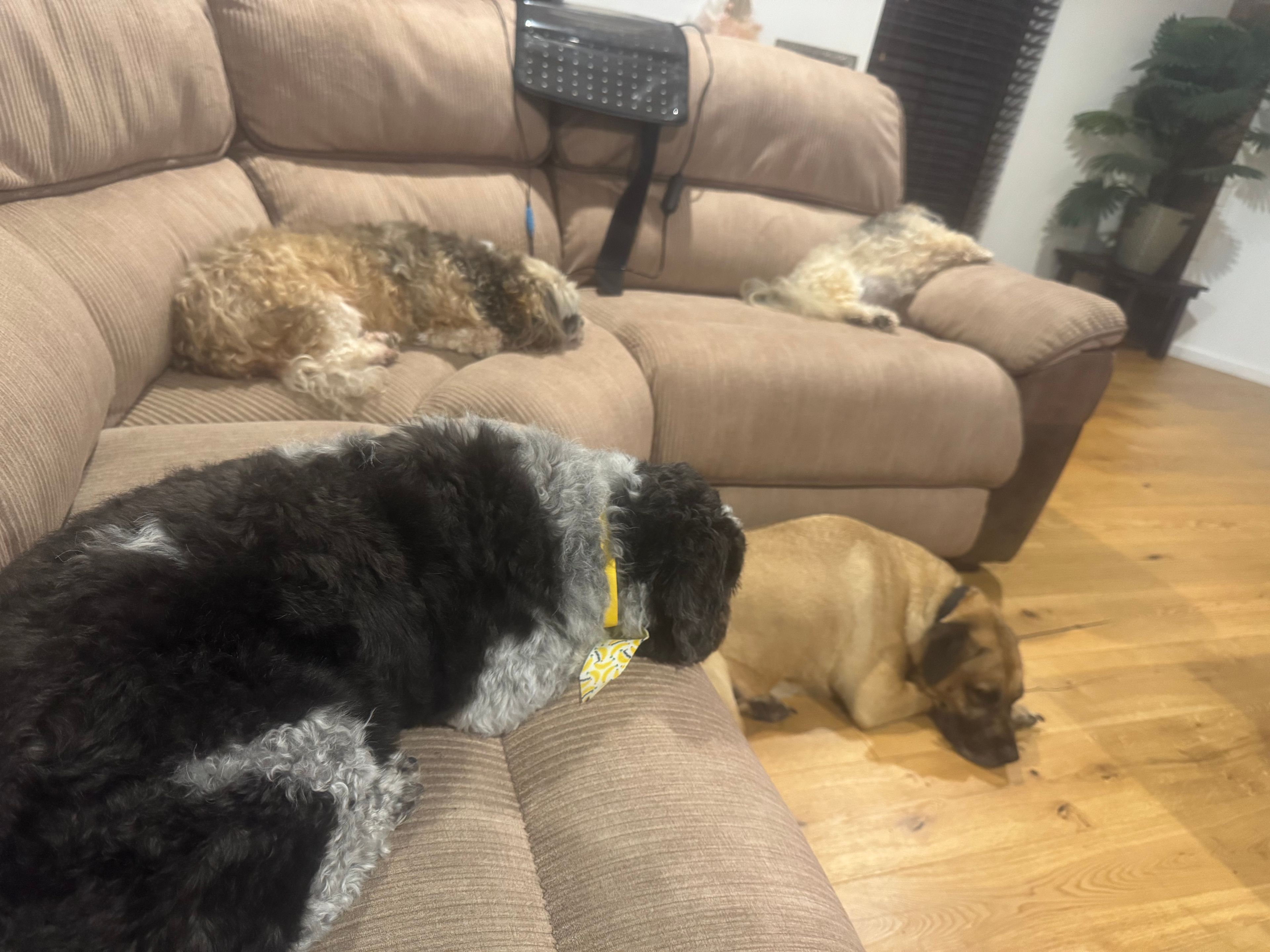 image-26