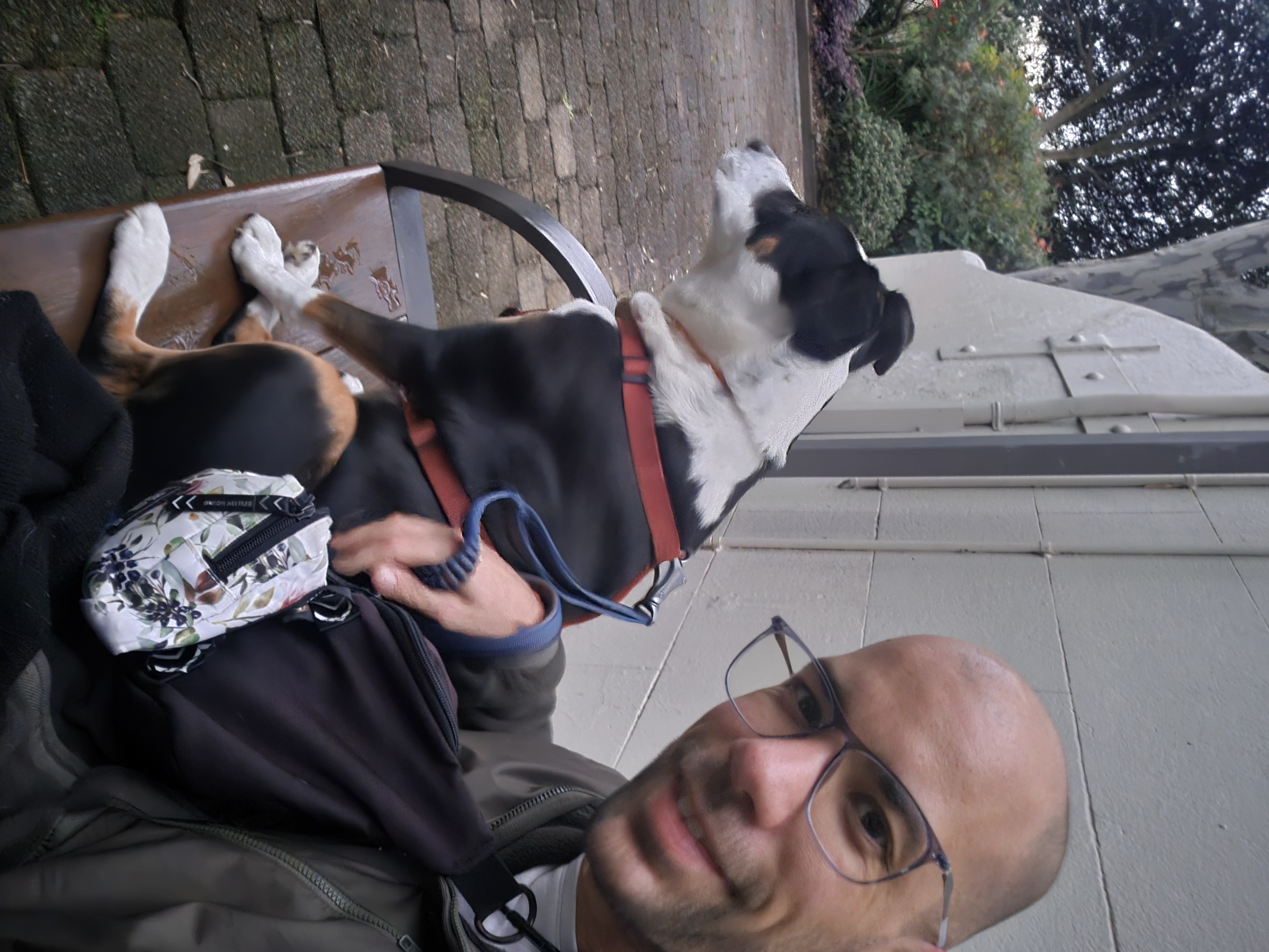 image-14