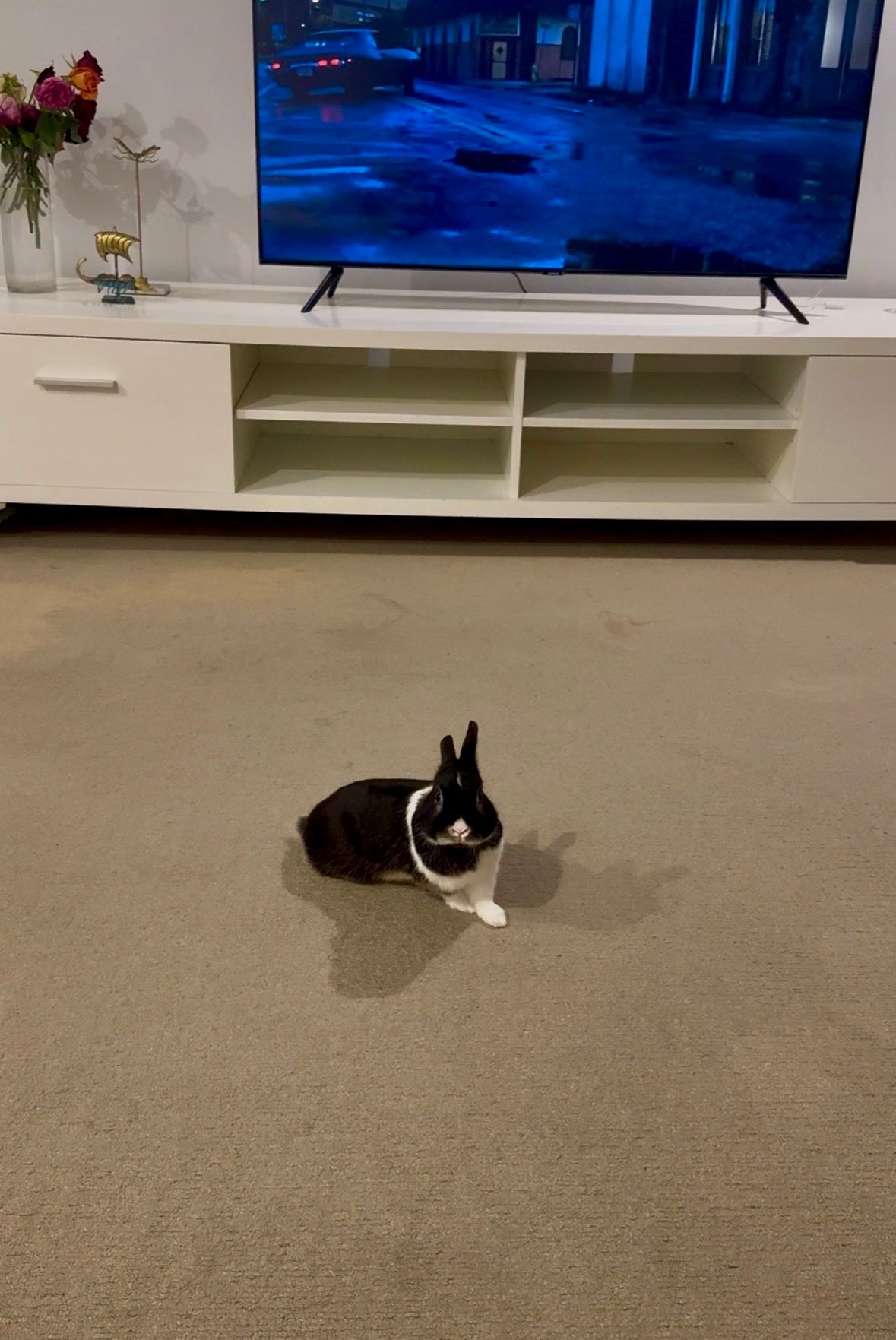 image-14
