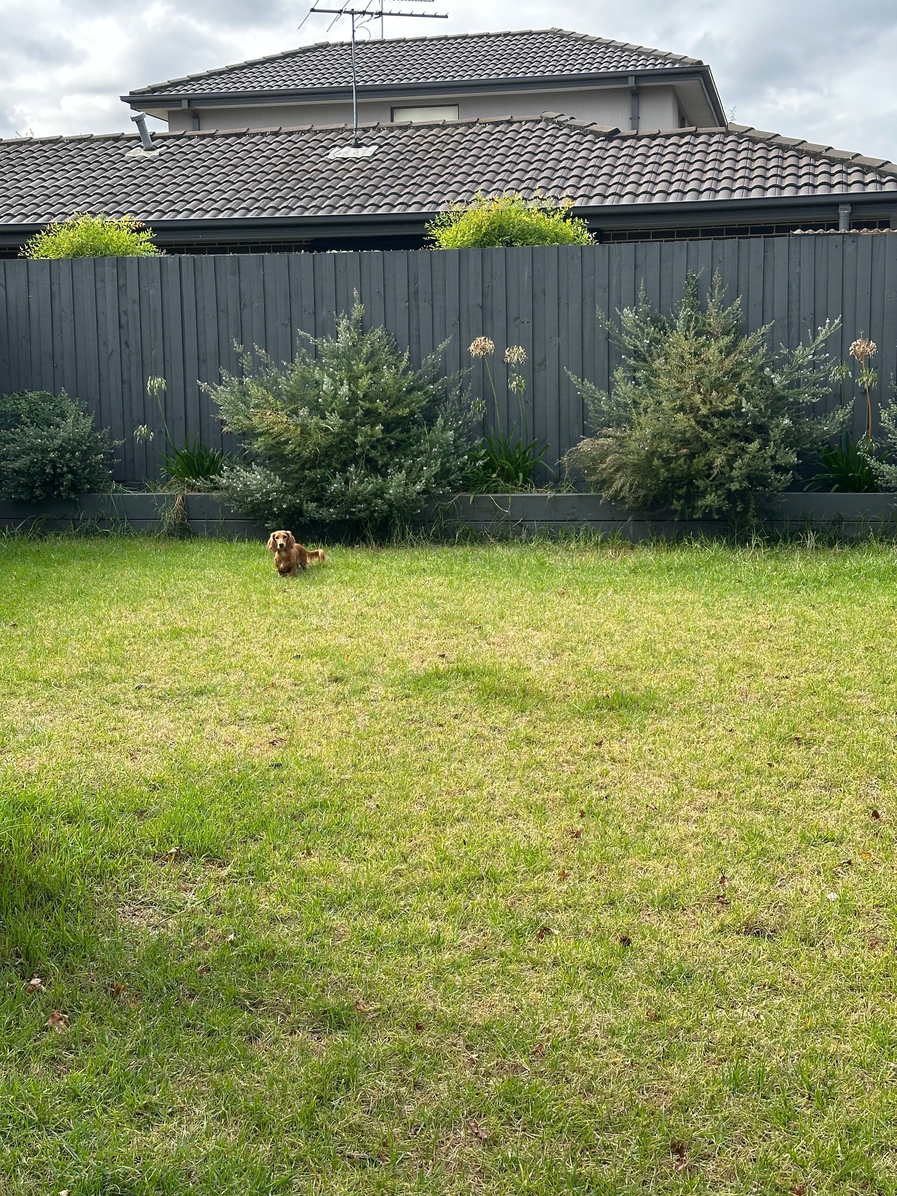 image-26