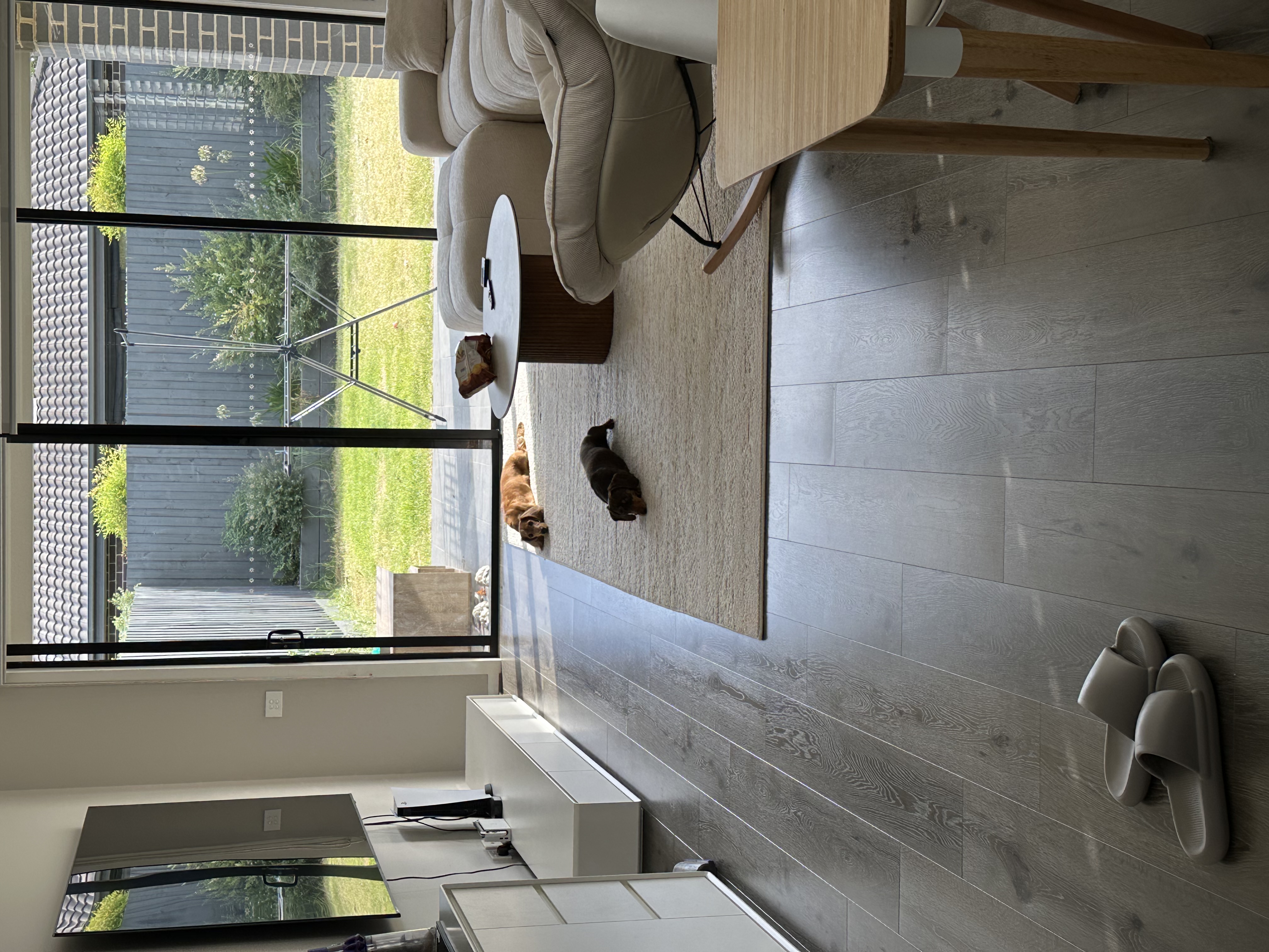 image-20